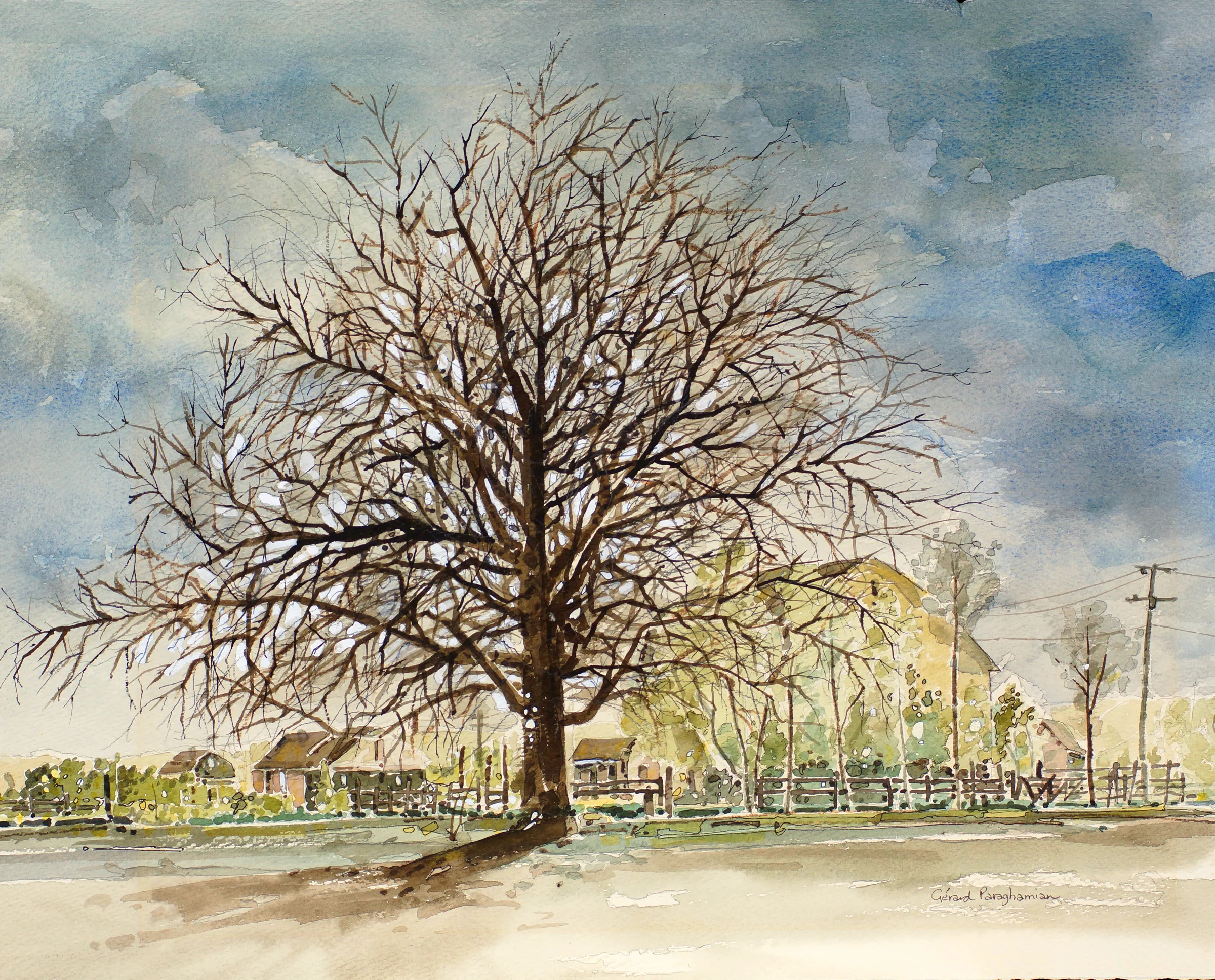 173&175) - Tree study (1page).jpeg