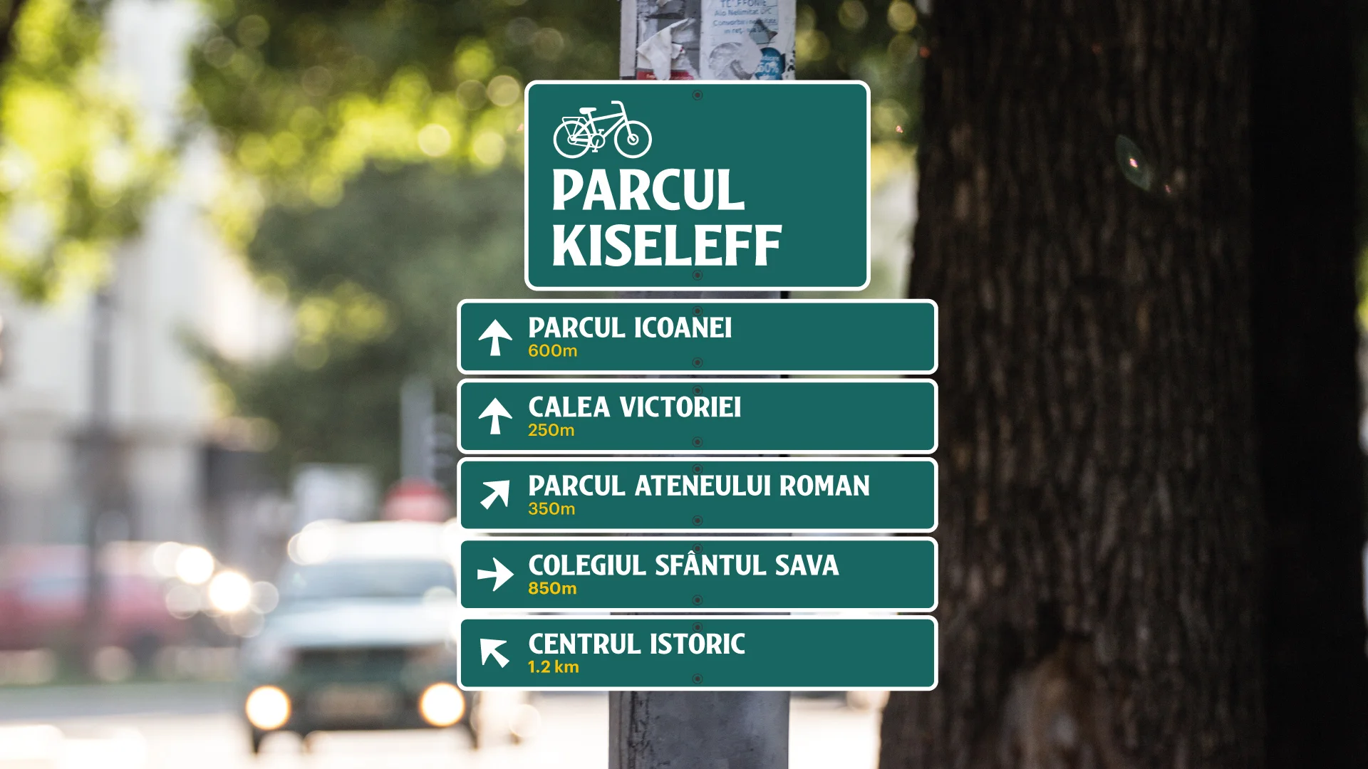 Bicicliști.jpg