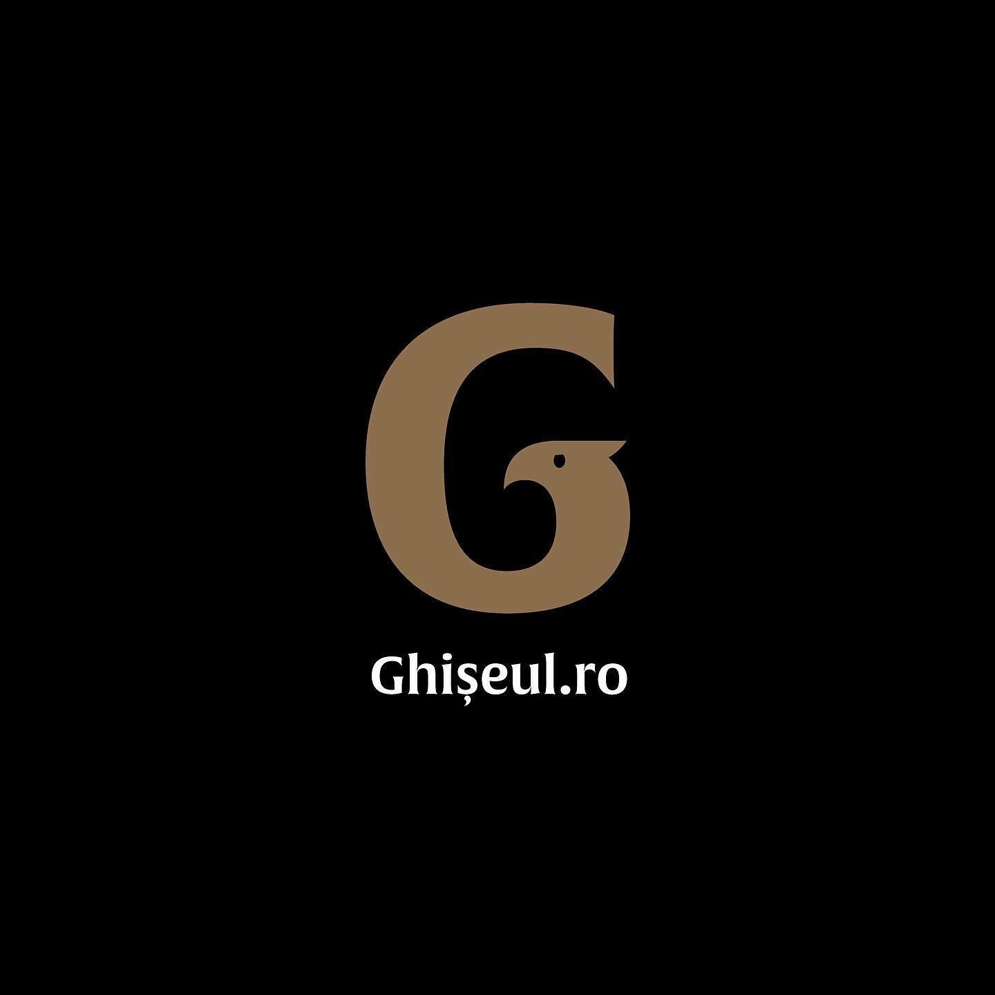 Alin&rsquo;s proposal for Ghișeul.ro, the platform for paying taxes and fines to the Romanian state &mdash; Golden Eagle G. This is how we see the future of public services, simplified, humanized, authentic, and proudly inspiring trust. Too bad the j