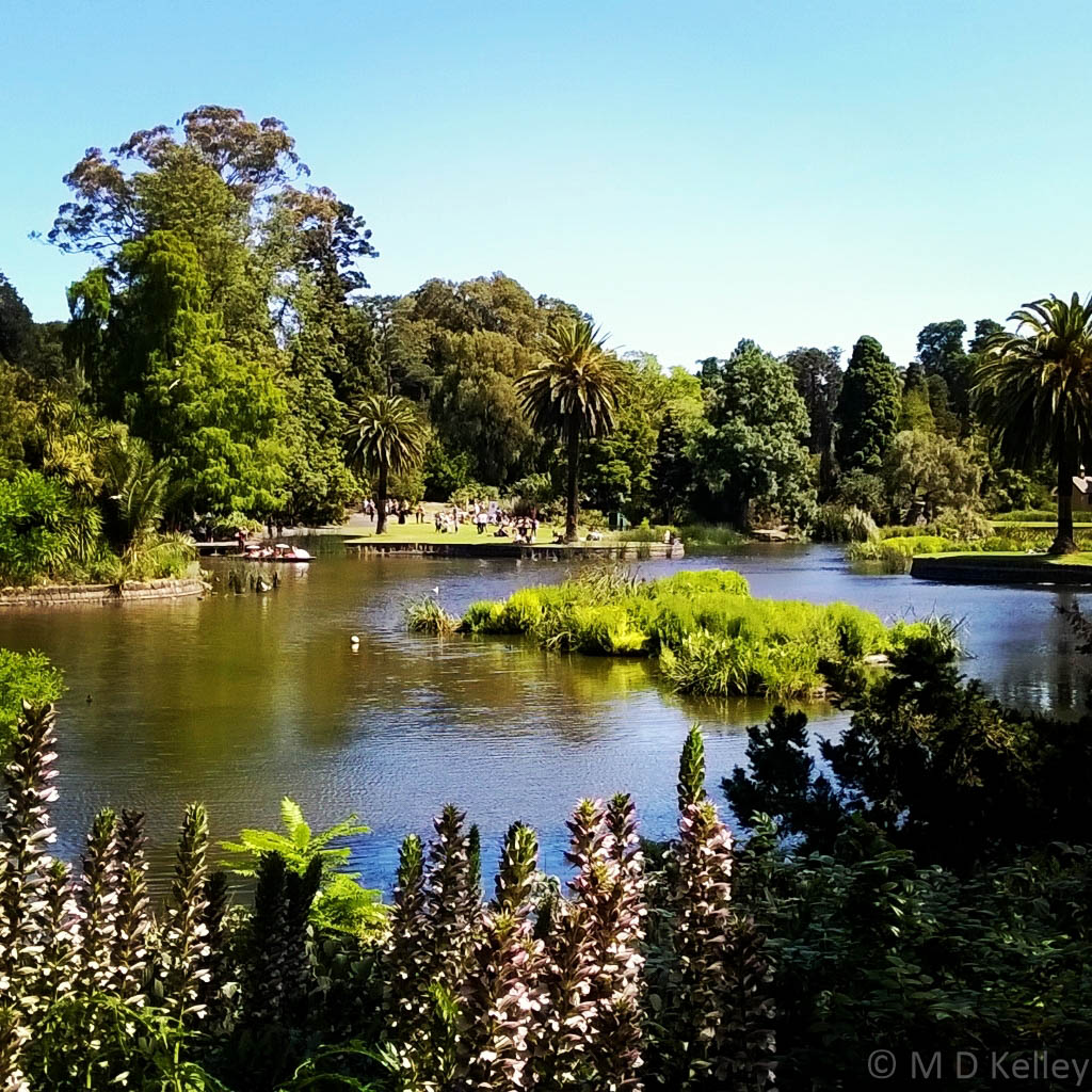 Lake at Melbourne Botanic Gardens, Windows Phone.jpg