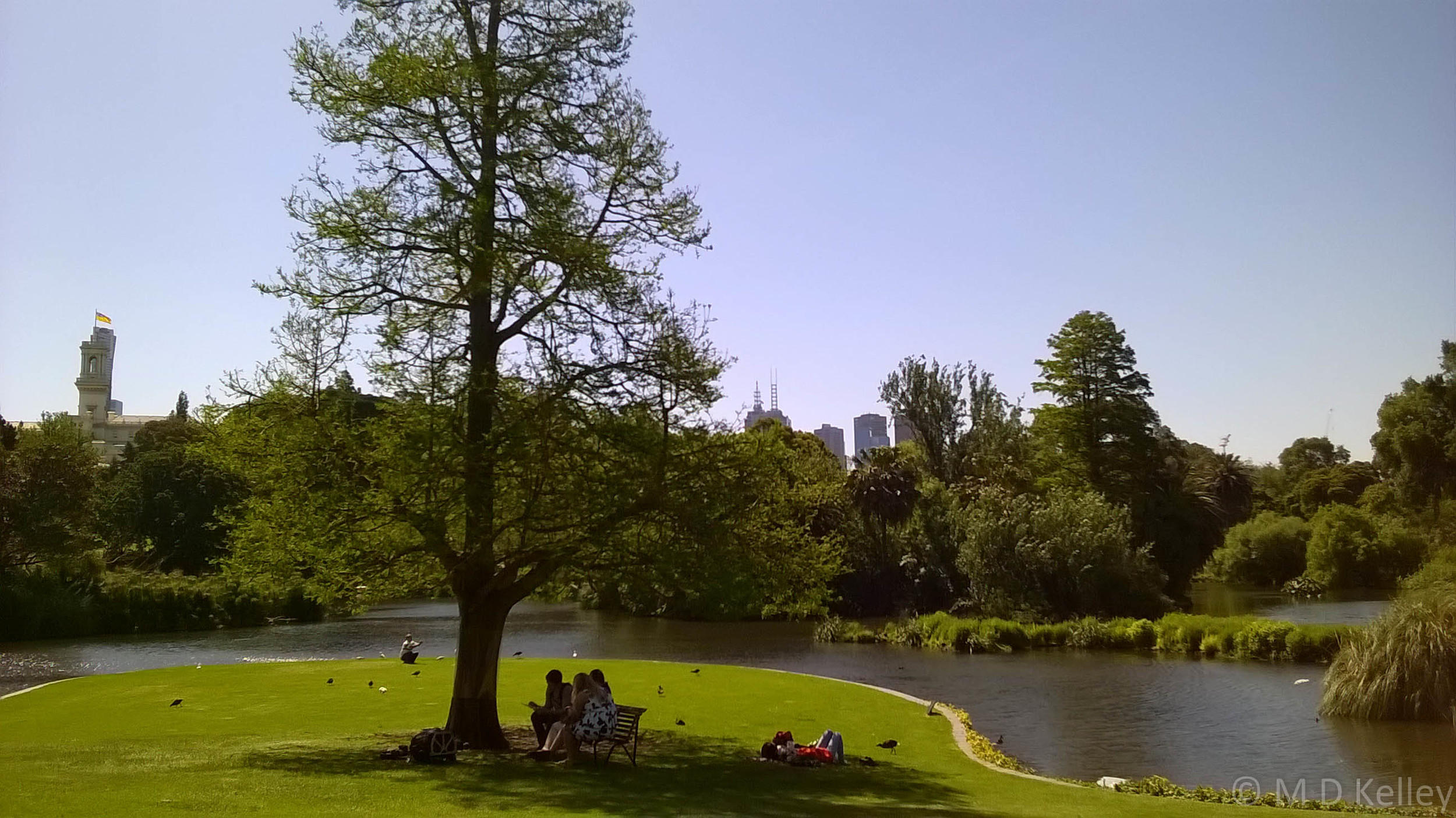 Sunday afternoon at Melbourne Botanic Gardens, Windows Phone.jpg