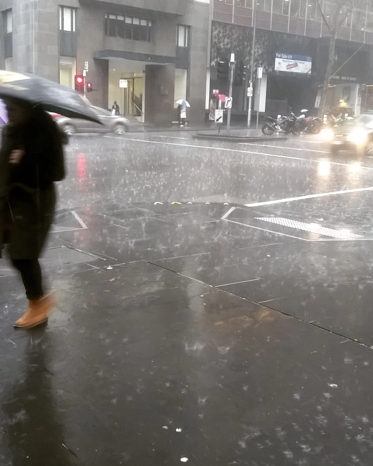 Sunny one minute, pouring buckets 5 minutes later...yay, it's spring time in Melbourne!