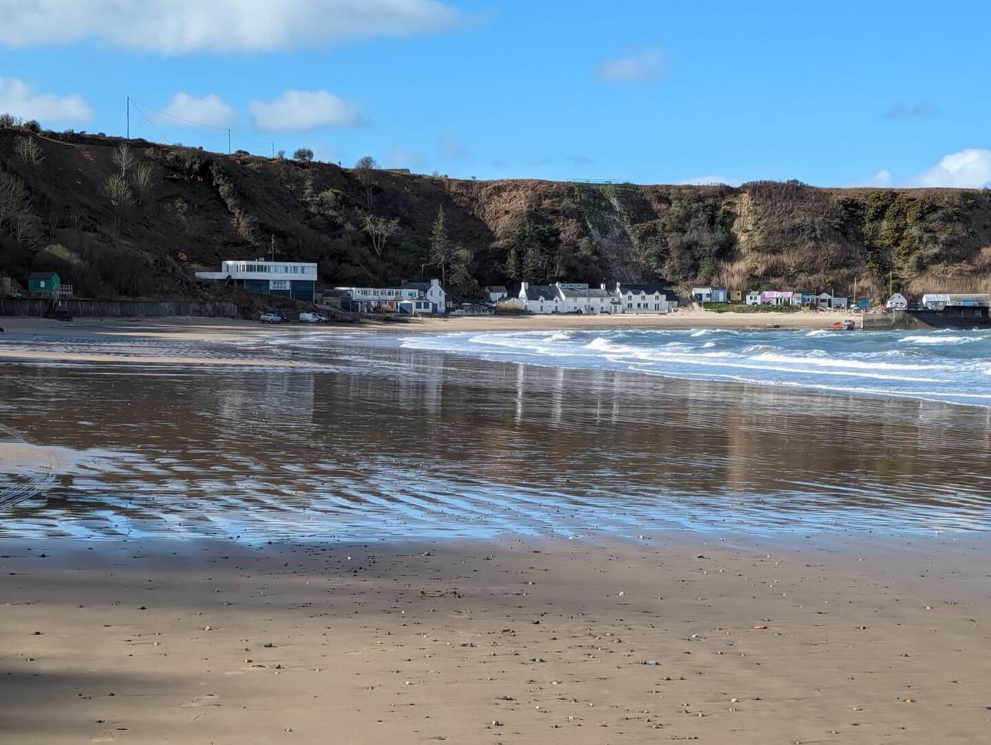 And our #ecologist Val has been in Wales at Nefyn, where we have been supervising vegetation strimming on protected sea cliff habitat ahead of some slope stabilisation works. #coast #LandStudio #ecology #natureled