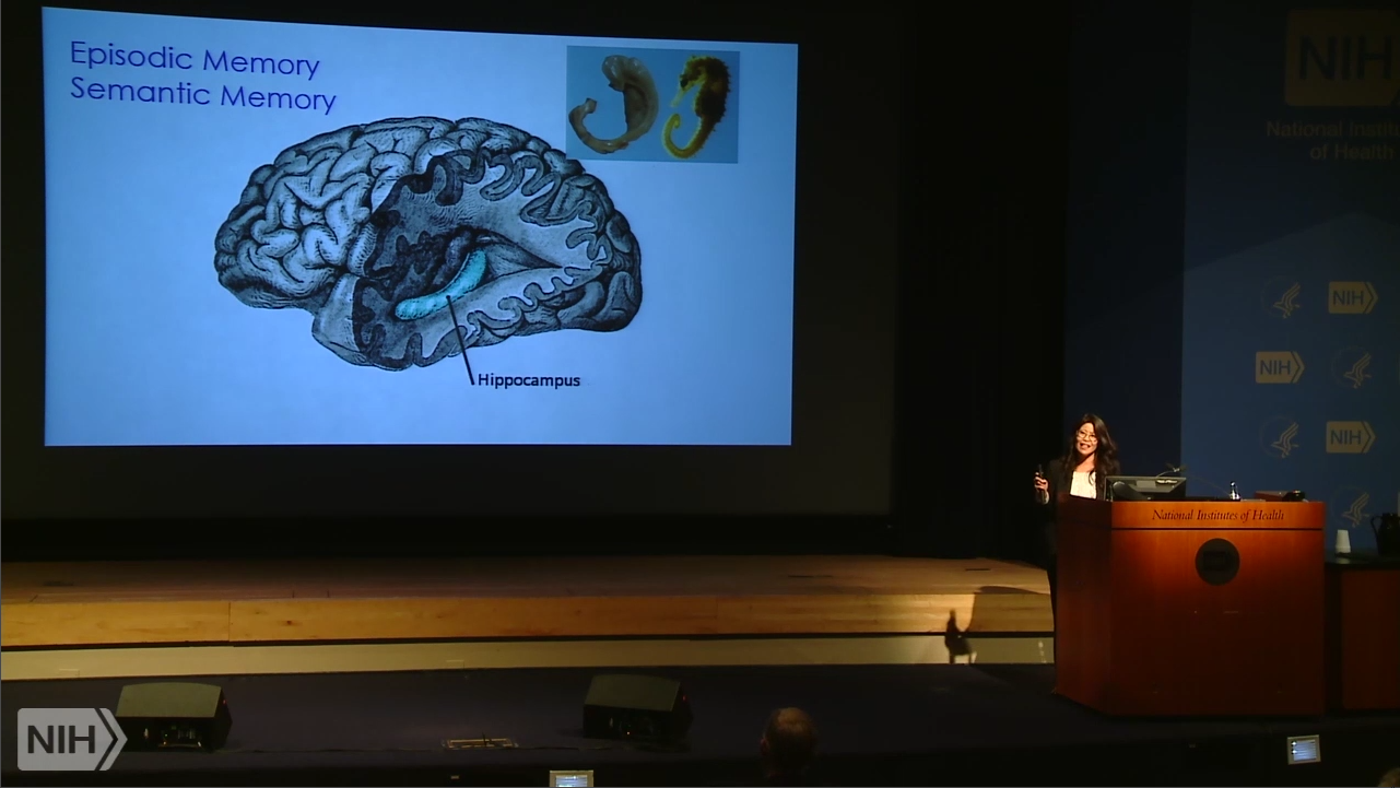 NIH Director's Wednesday Afternoon Lecture Series 