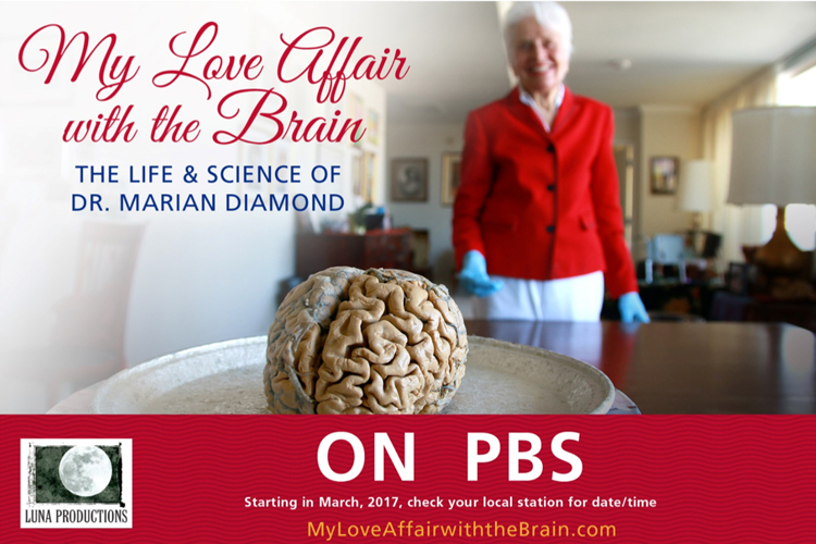 A  Love Affair with the Brain:  A Story in Two Generations 