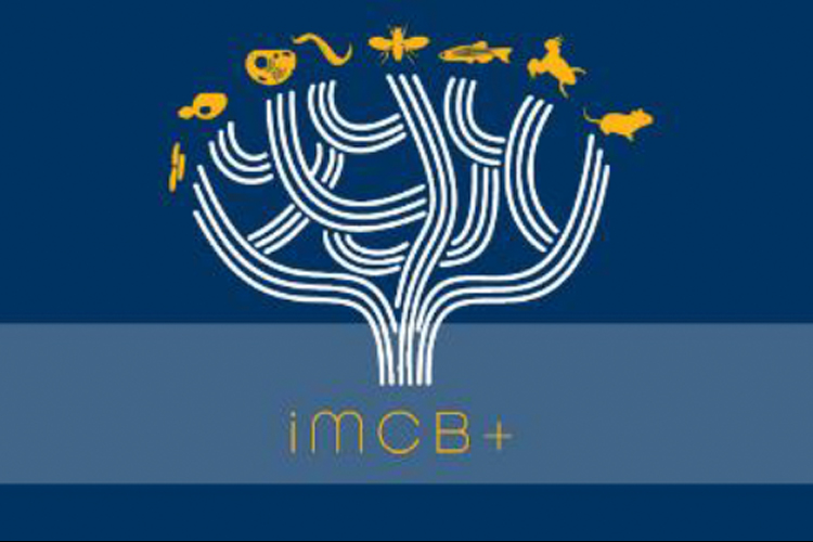 iMCB+ Symposium Keynote Speaker