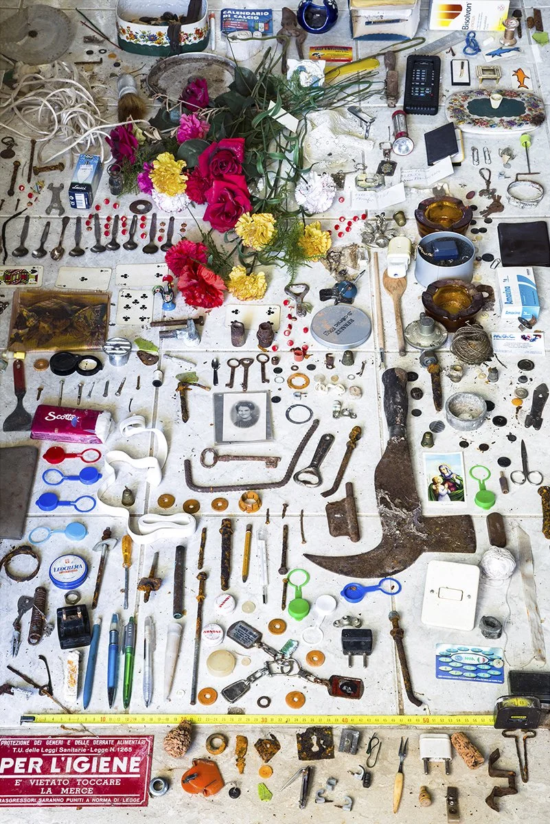 Copy of Taxonomy VI .jpeg