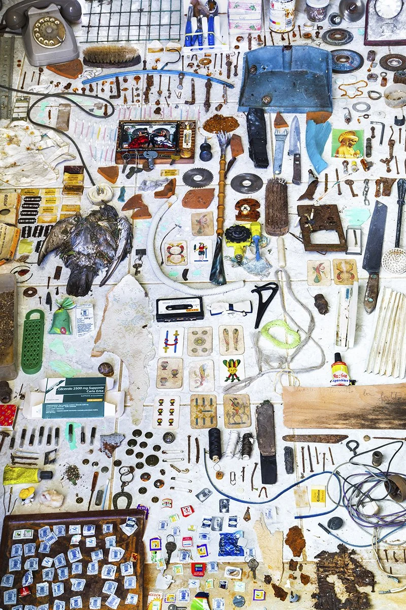 Copy of Taxonomy XII.jpeg