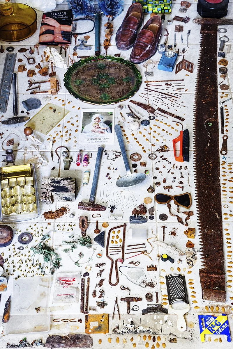 Copy of Taxonomy XIII.jpeg