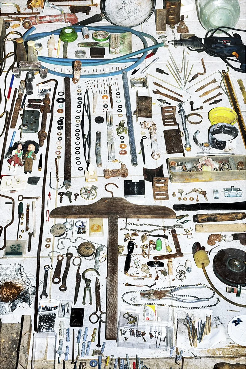 Copy of Taxonomy_IV_.jpeg