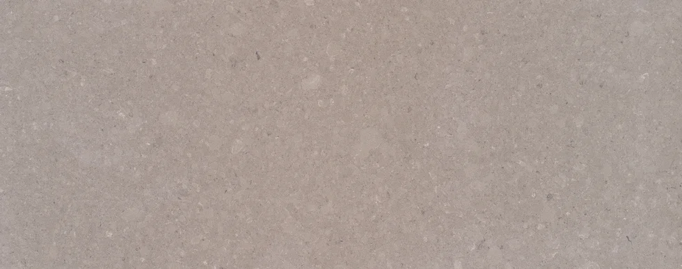 Shitake