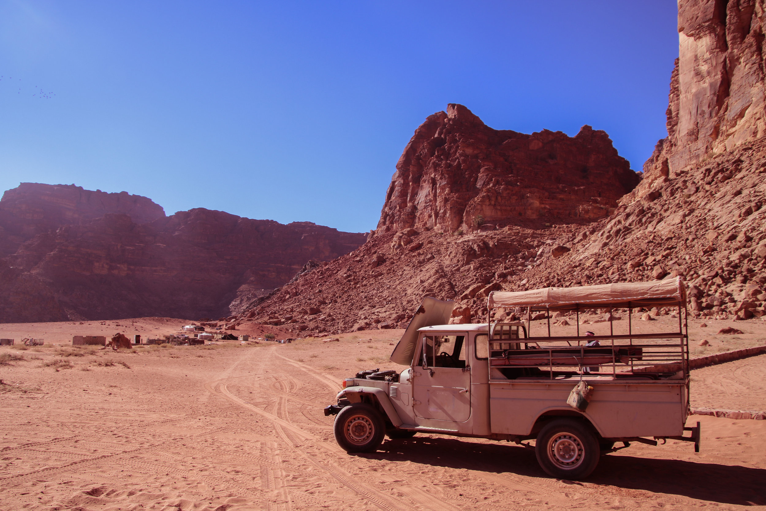 profile image (3 of 28).jpg