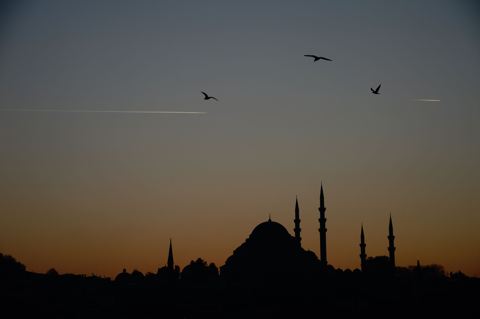 Mosque. Istanbul, Turkey.