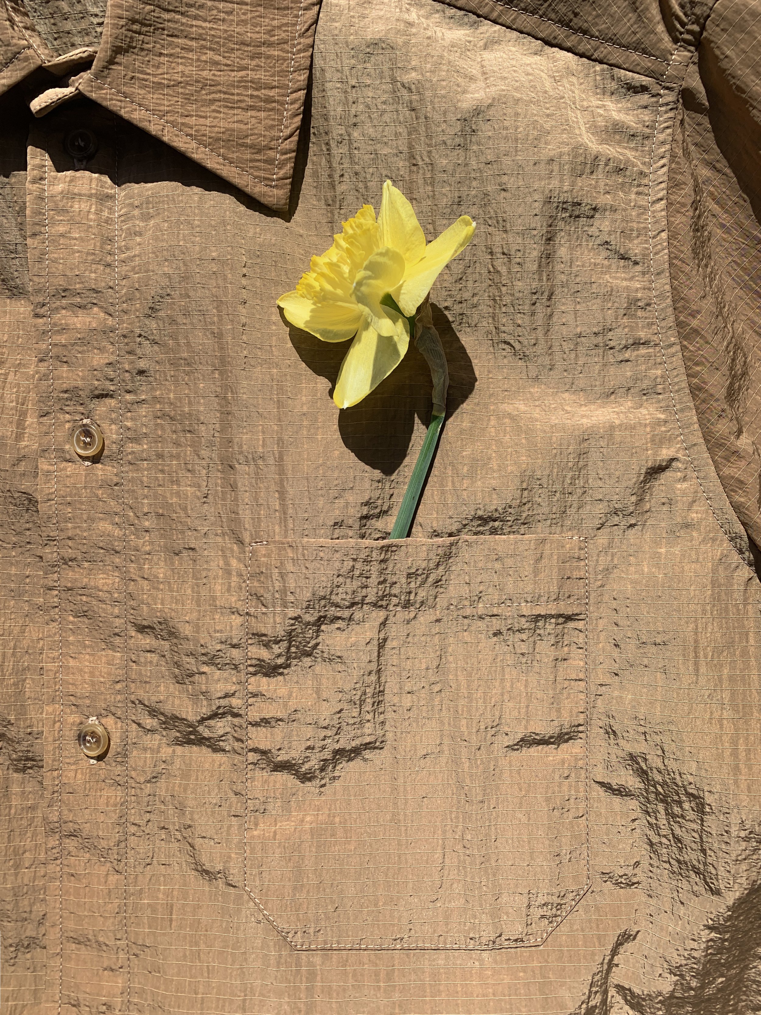 Marvin Check tec mit Blume.jpg