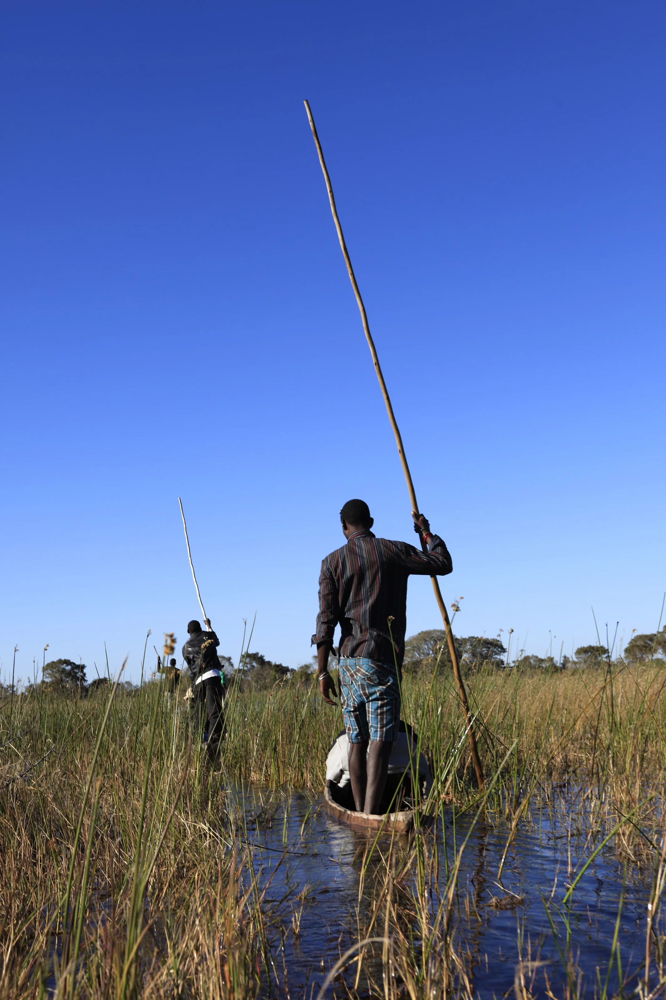 Mokoros on Okavango Delta