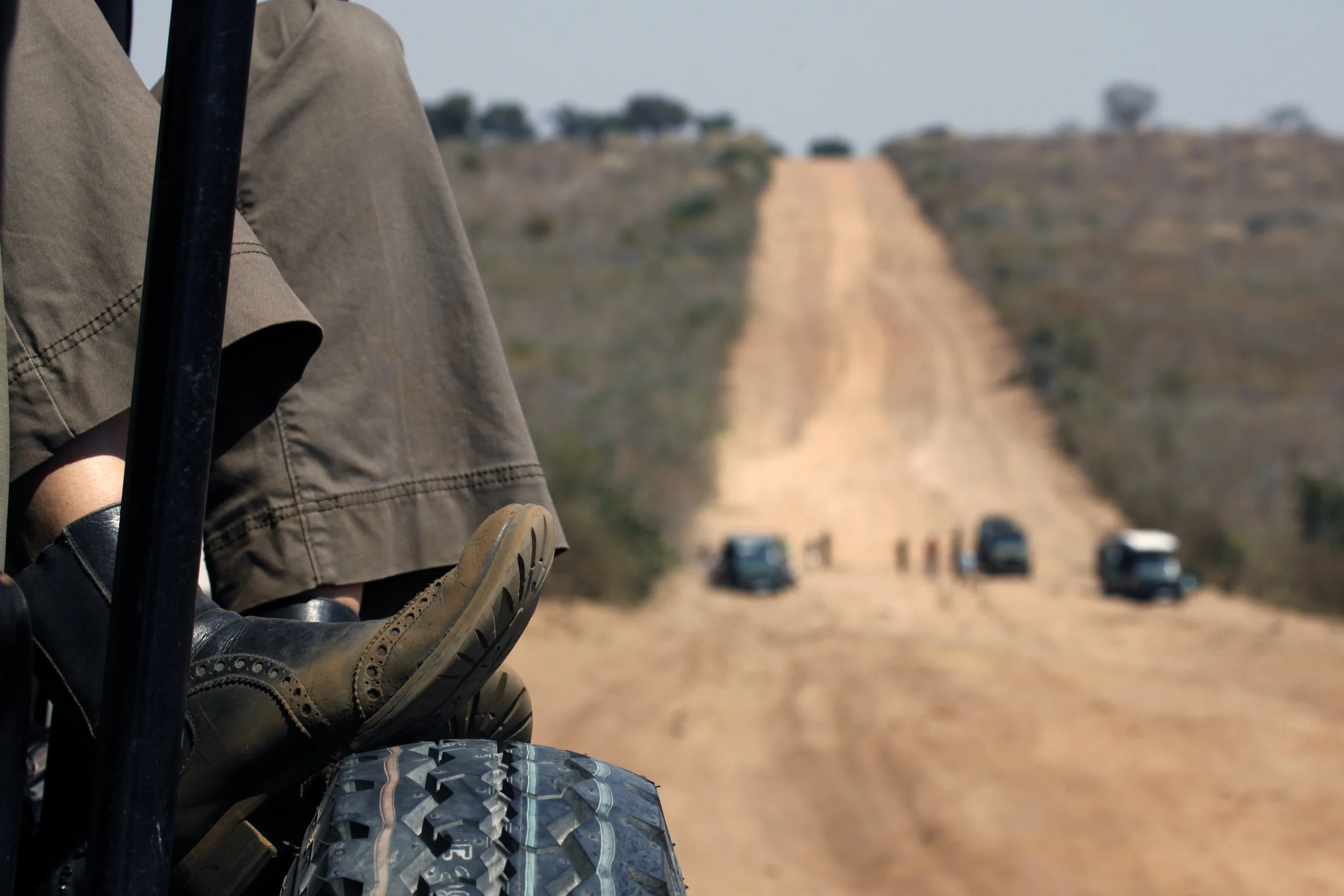 On the road to Savute