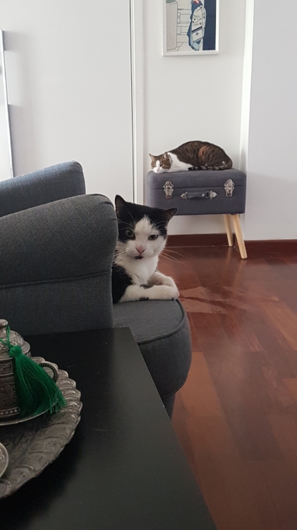 Undisturbed? Ha, this human has a lot to learn.