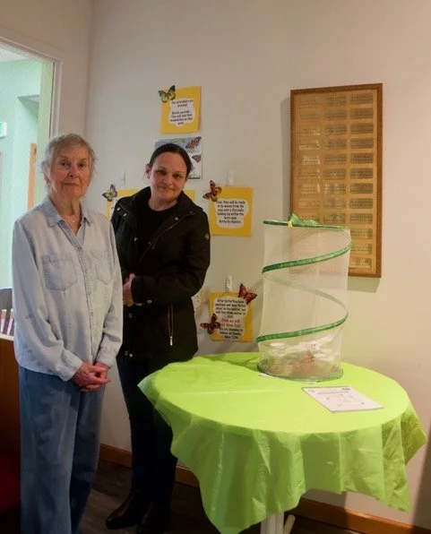 Butterflies 2026 b.jpeg