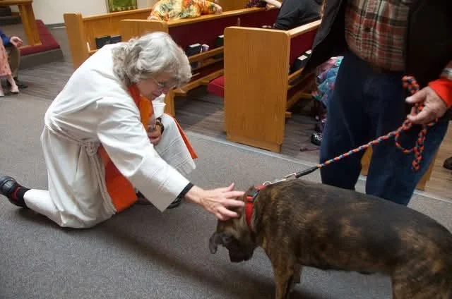 May animals were blessed on St. Francis Day