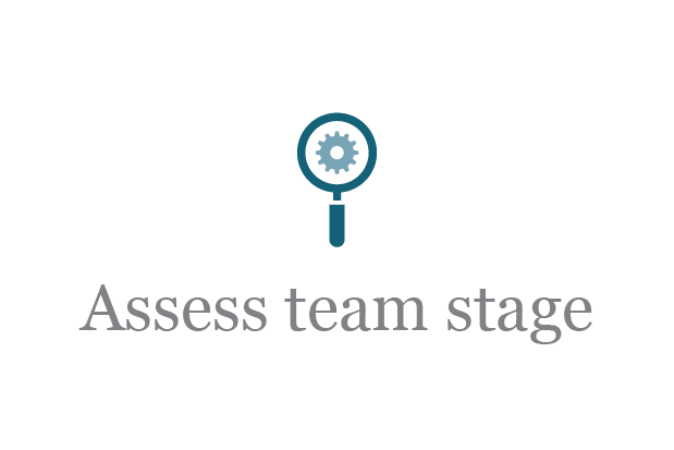 Alignment-Assess-Team-Stage.png