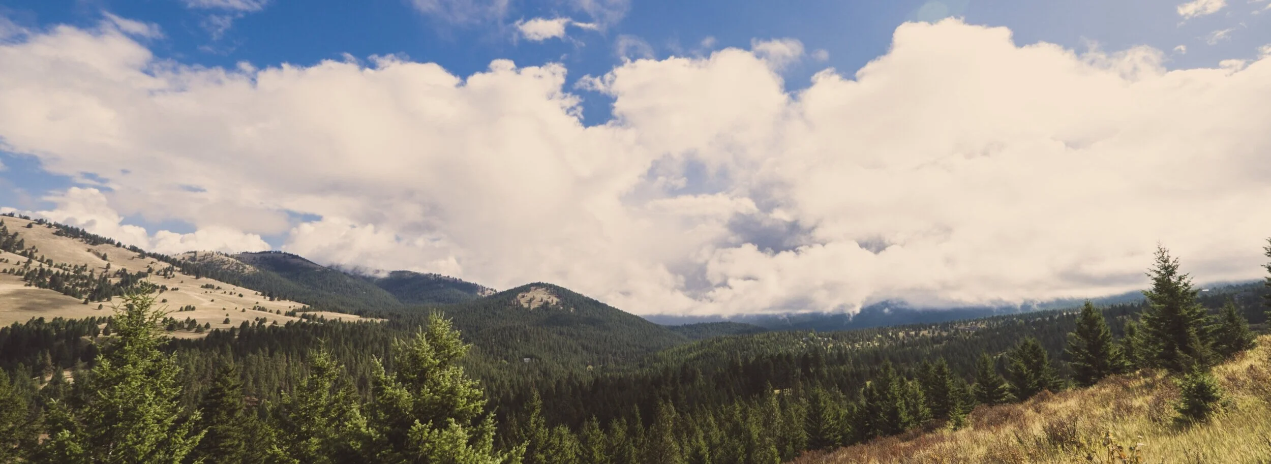 2019.09.28_MissoulaTrip-4.jpg
