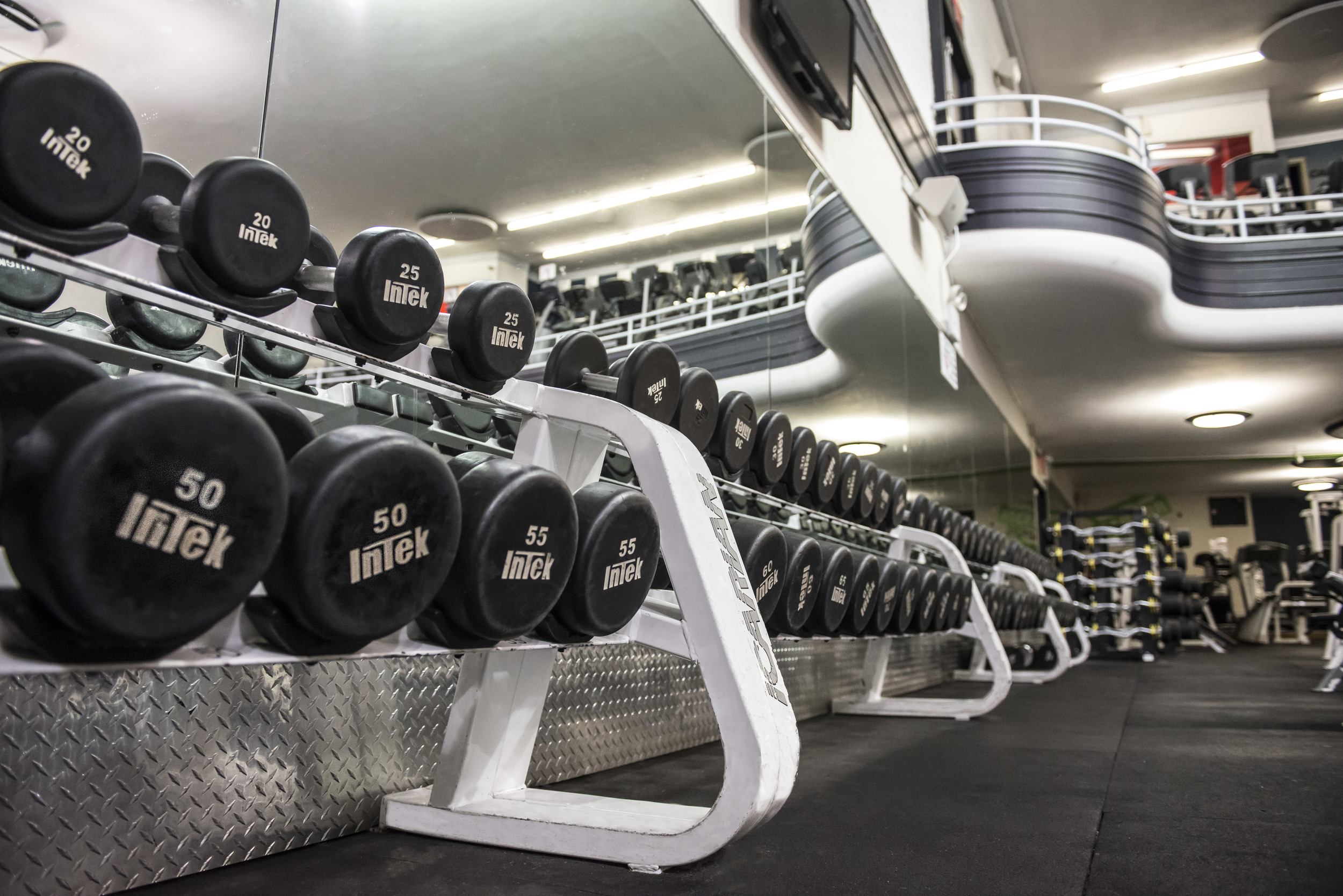 Harbor Gym Marine Park at Ralph Rutter blog