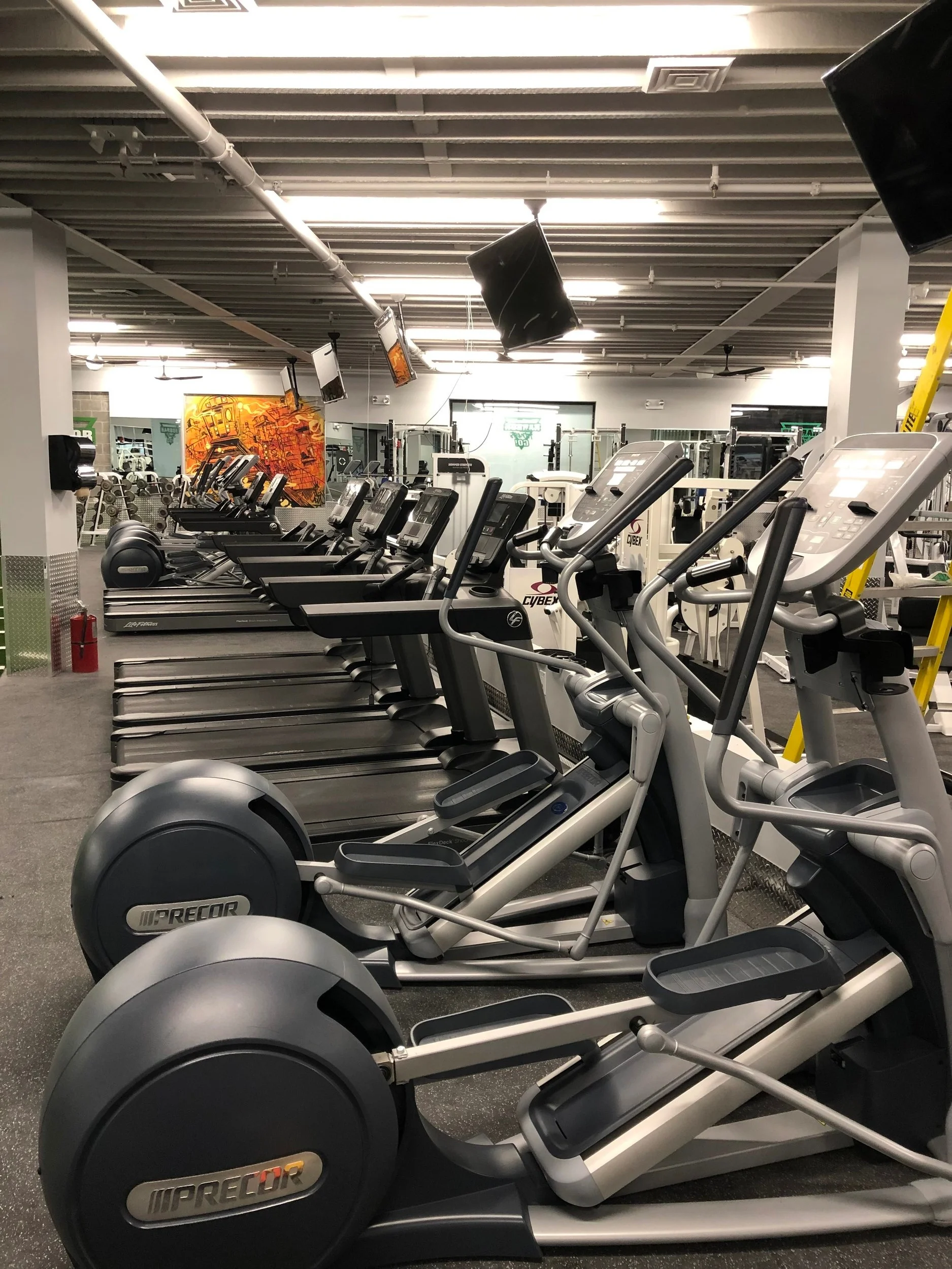 cardio 1.jpg