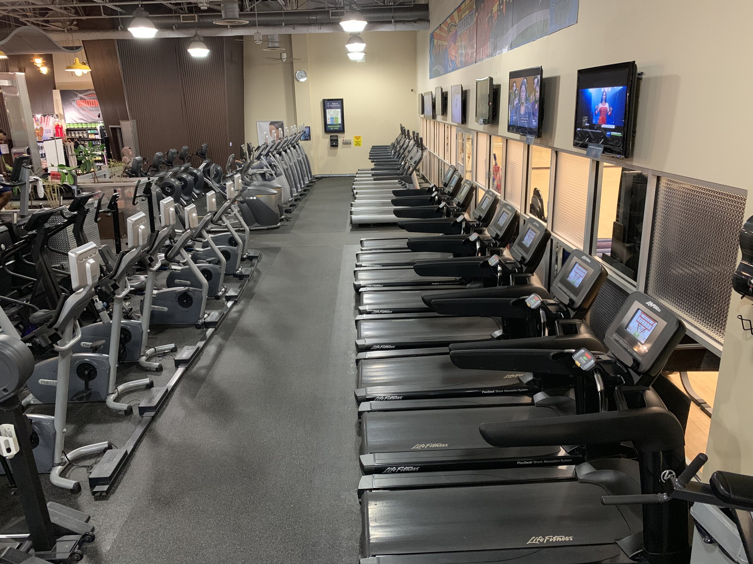 Harbor Fitness Mill Basin Treadmills