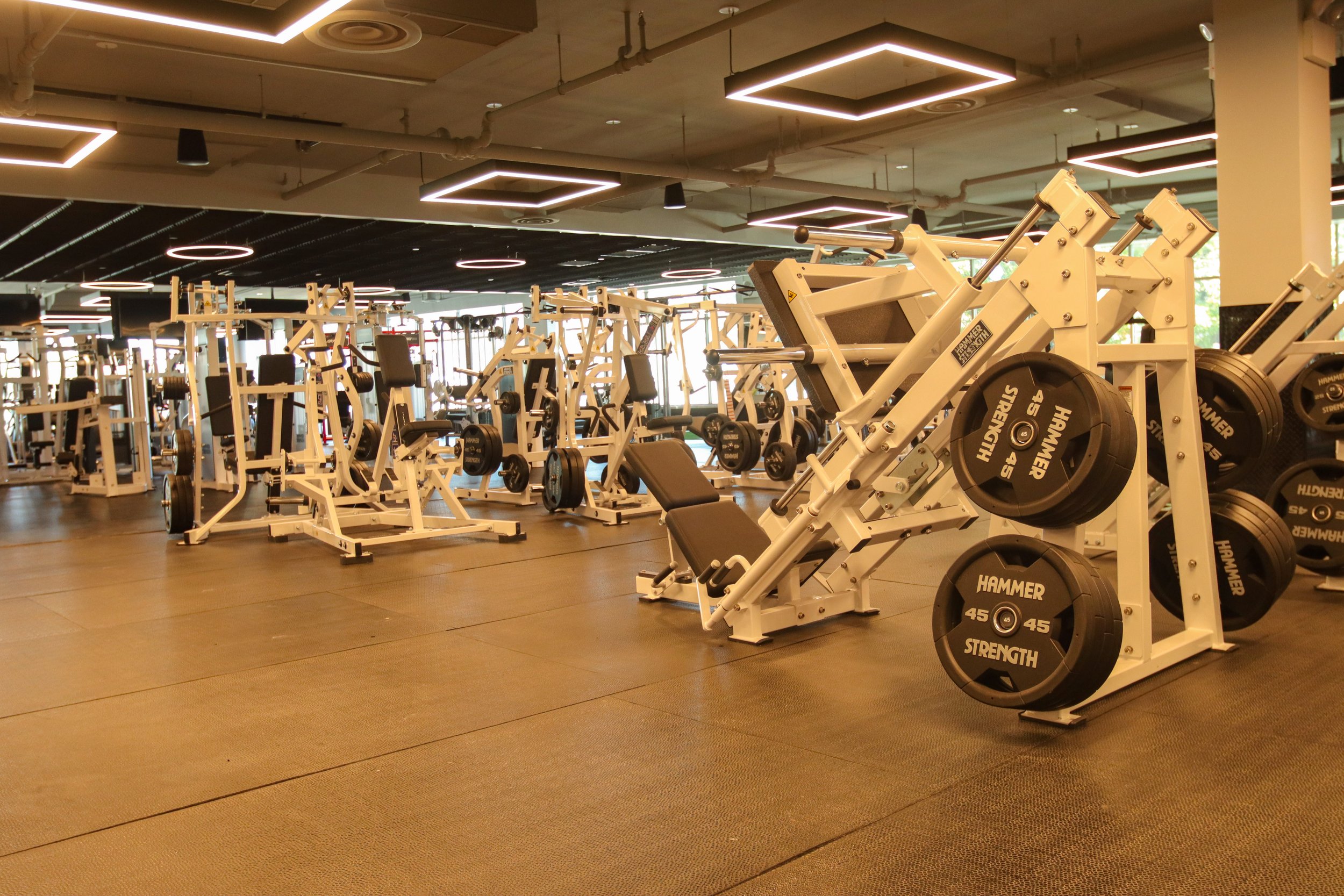 Harbor Fitness Midwood Equipment 3