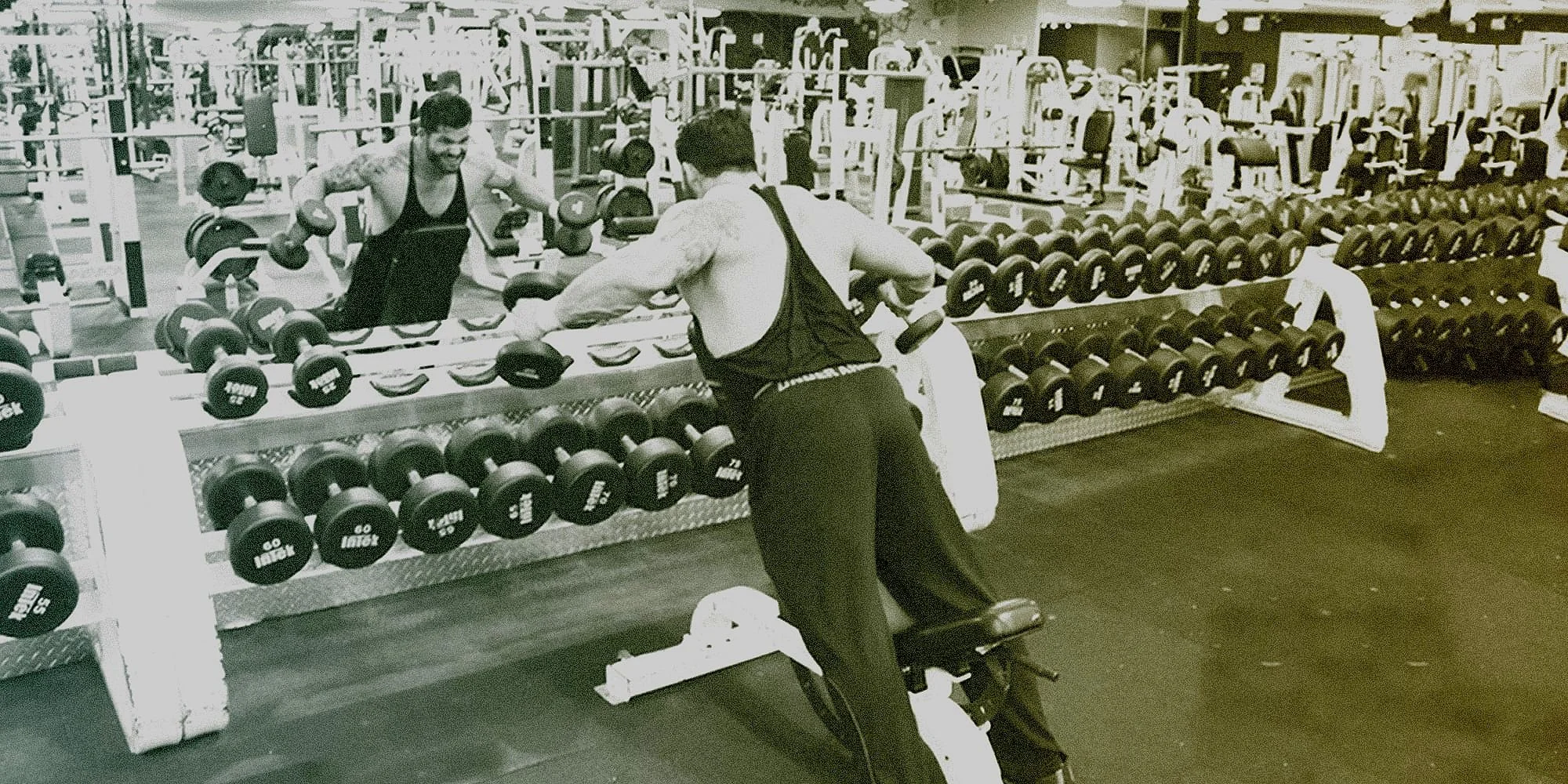 Header-Image-Mike-Taverna-Rear-Delt-FlyesEXP.jpg