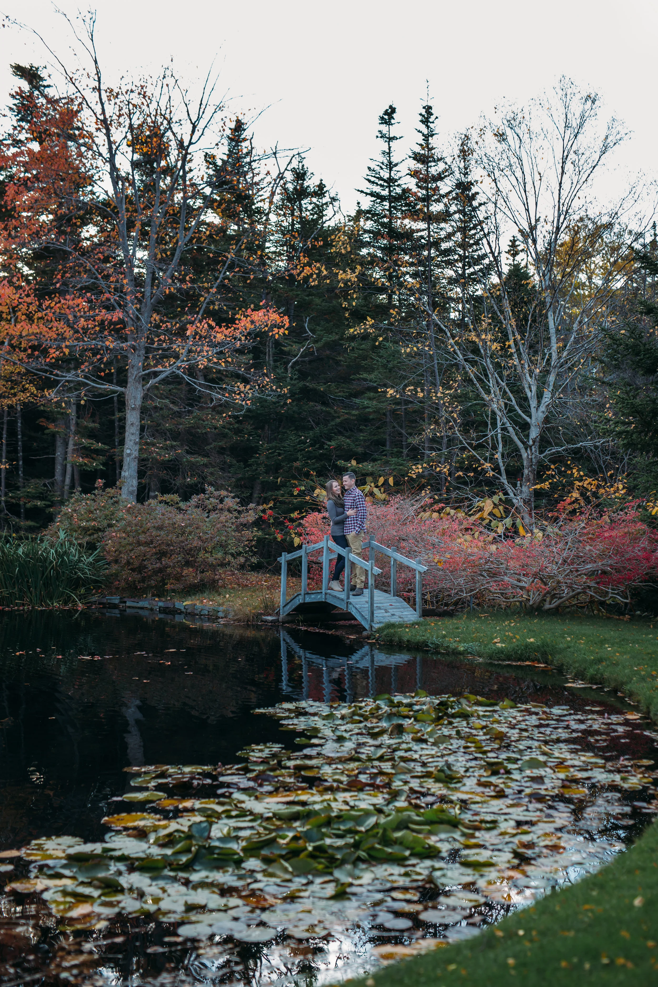 Frog Pond engagement session - Newfounland Photogreapher 