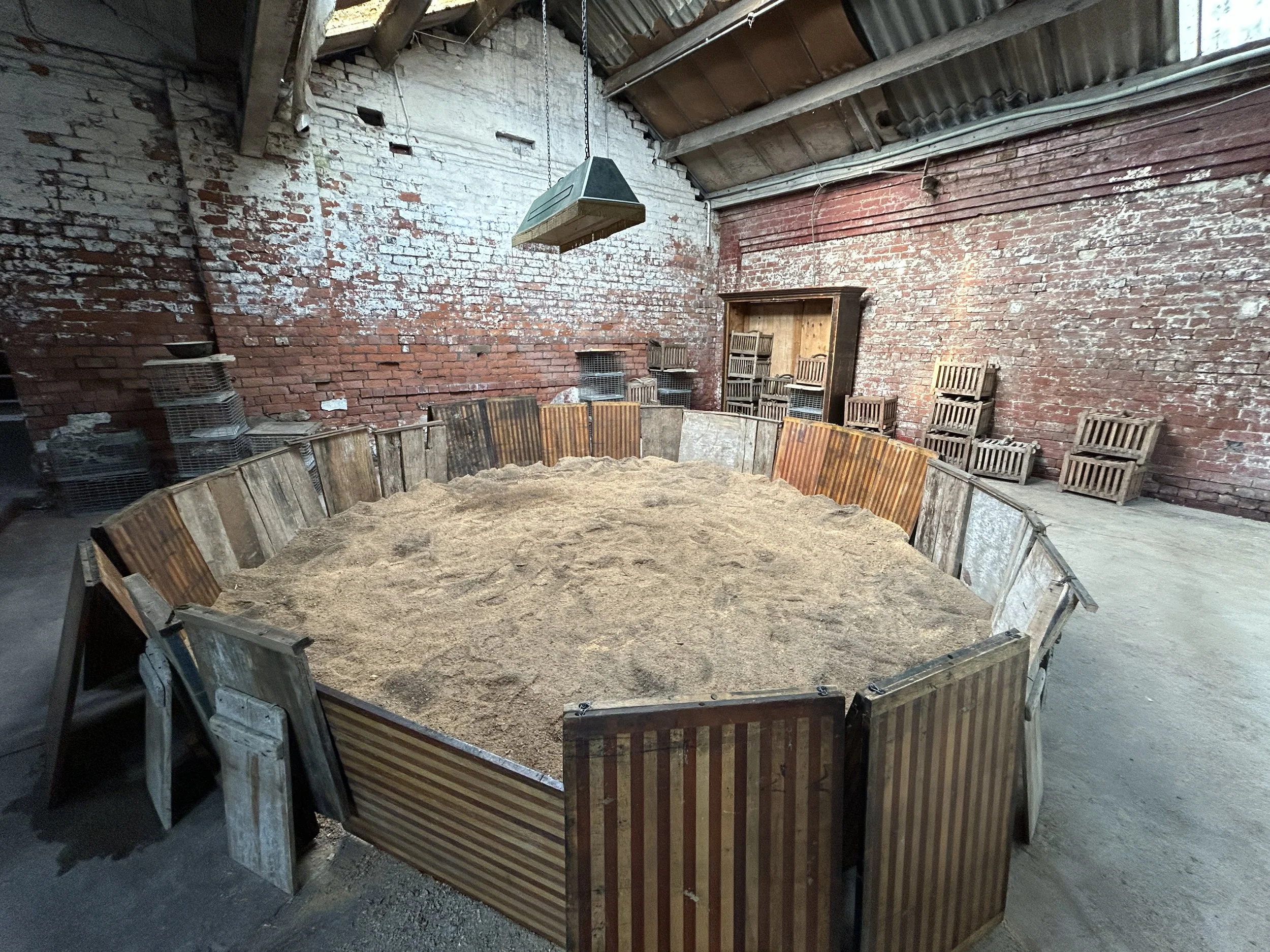  INT Betting Shop - Cock Fighting ring 