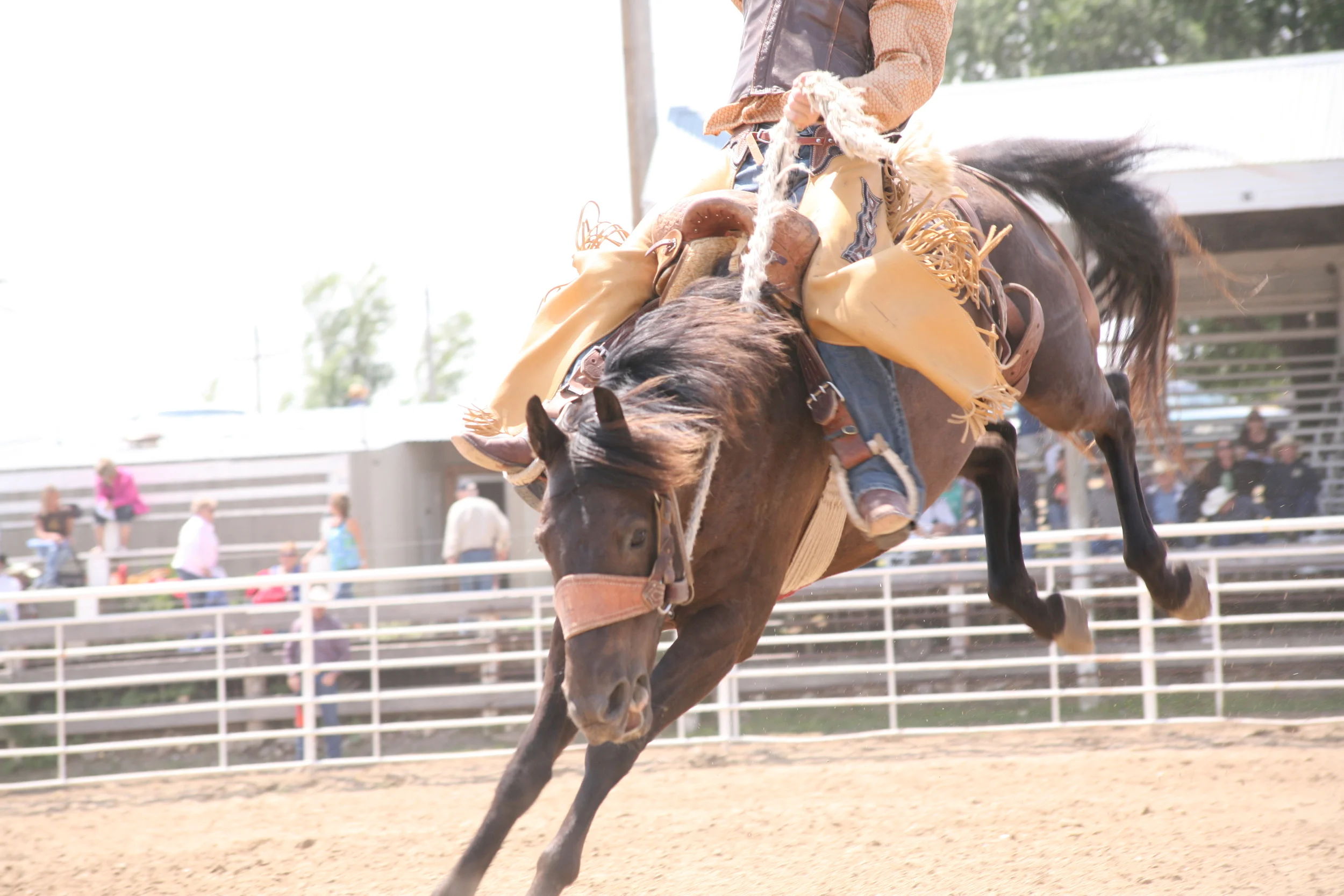 4-HRodeo13 450.JPG
