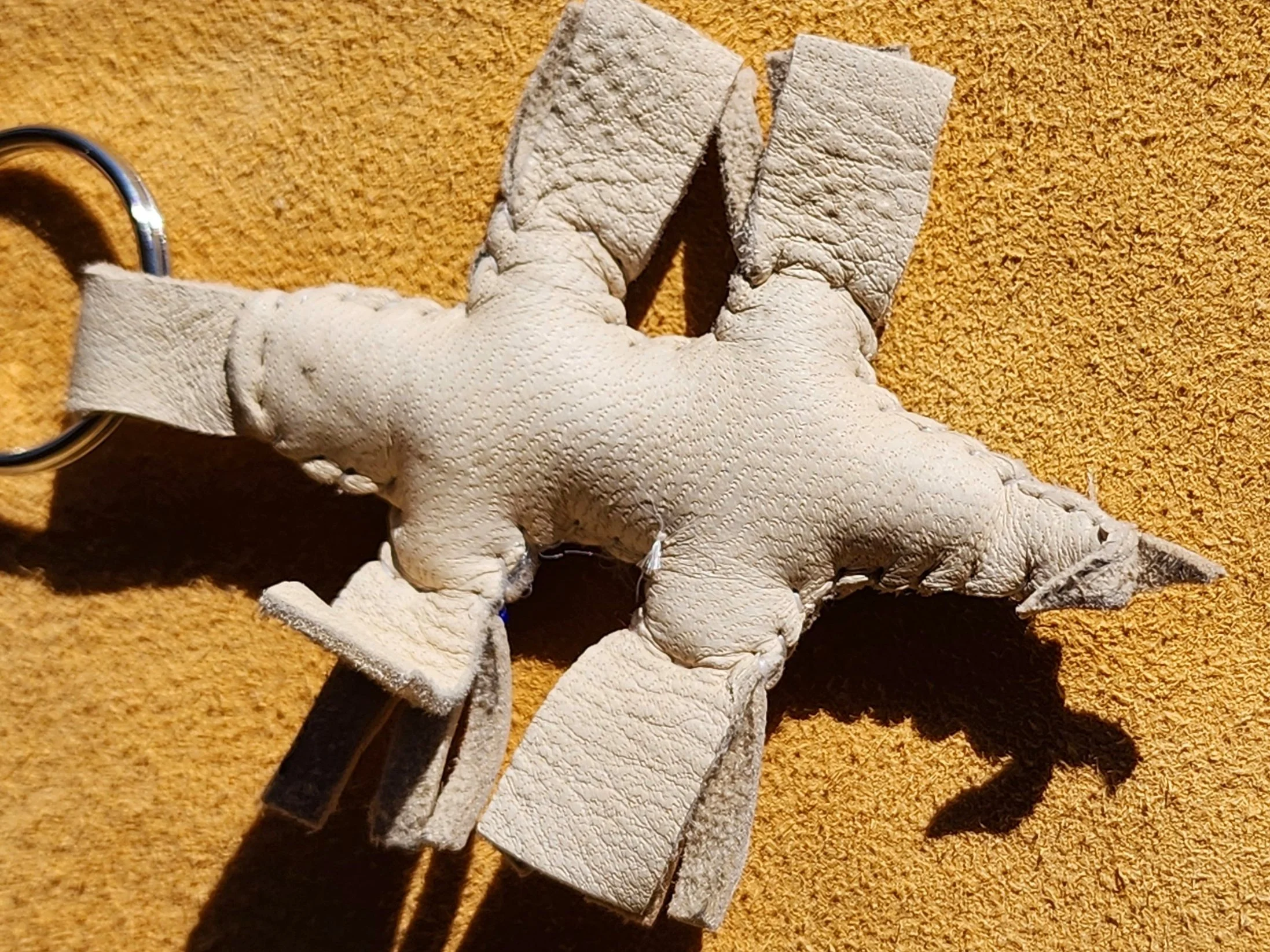 20230918_093753.jpg