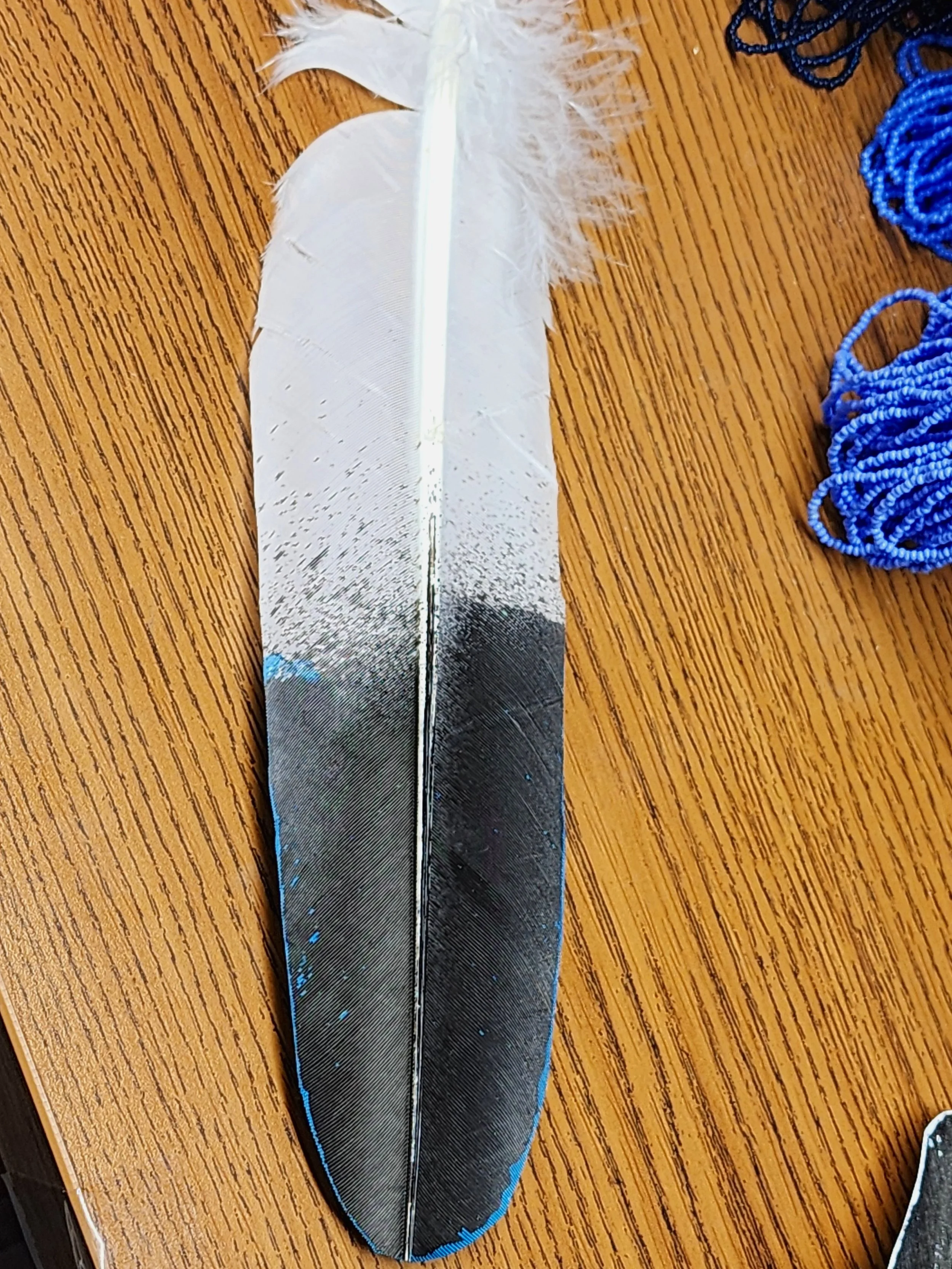 20240115_154537.jpg