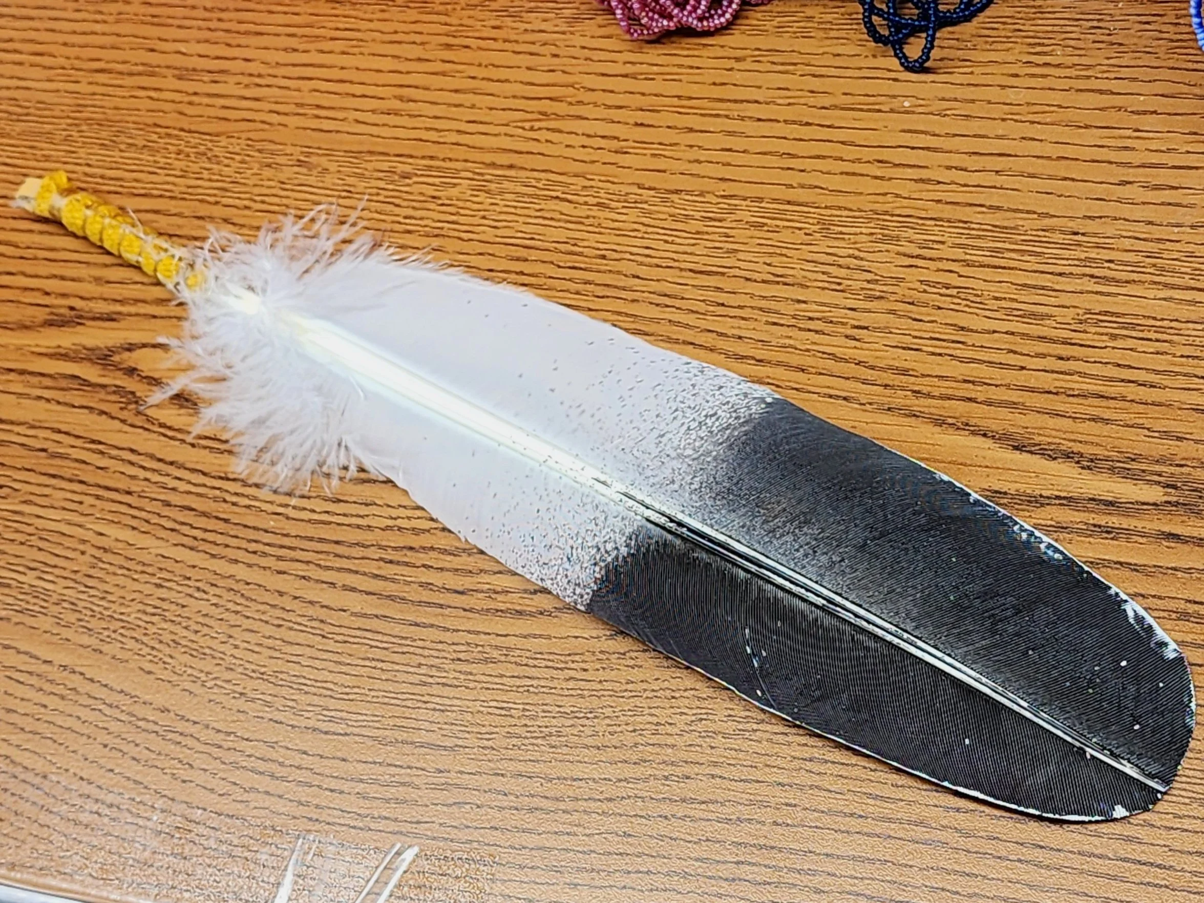 20240115_154459.jpg
