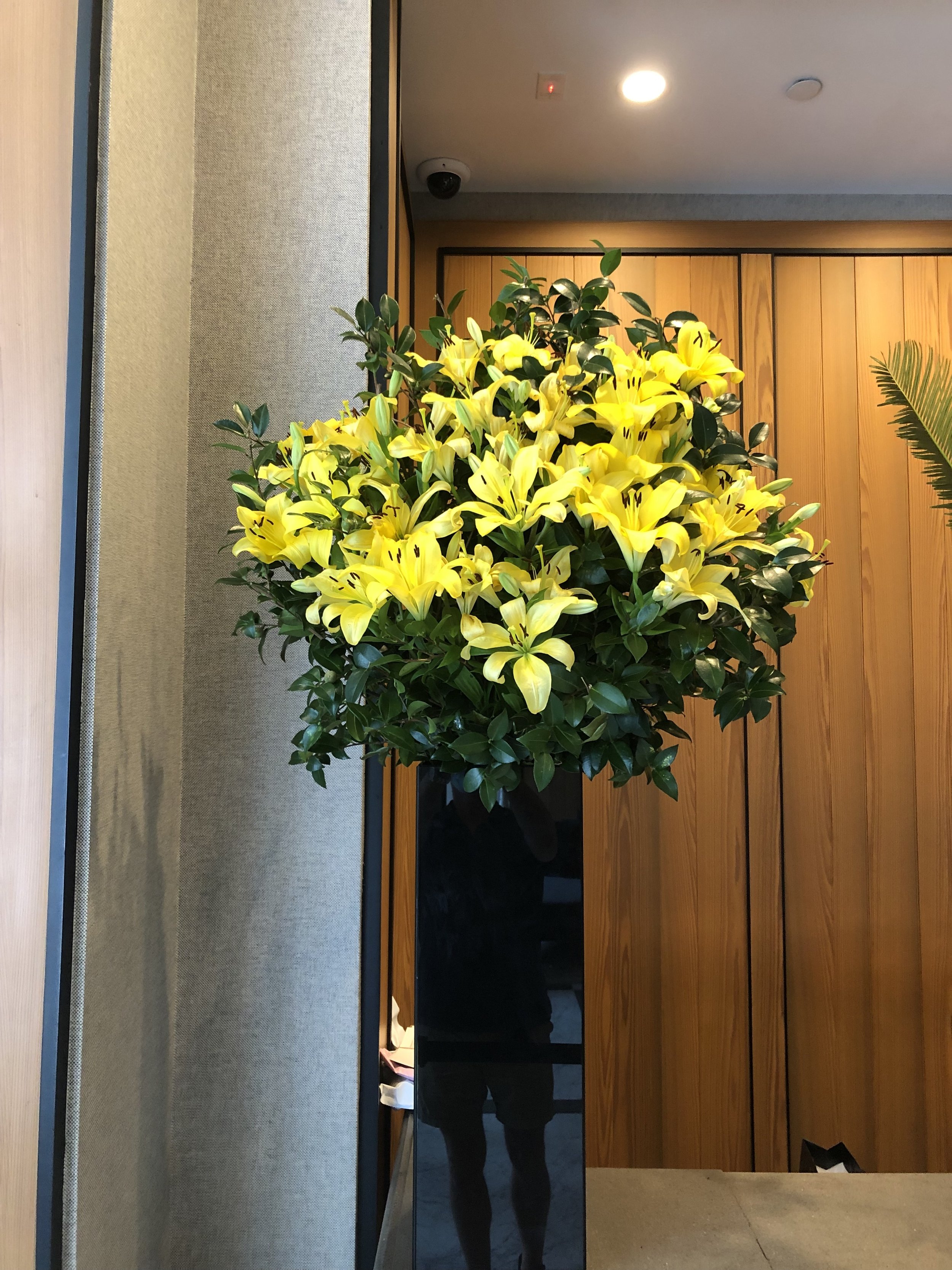 IMG_5834.jpeg