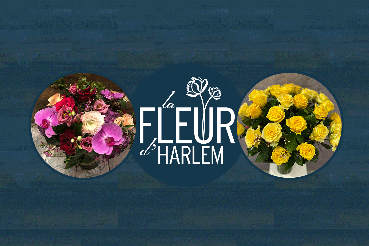 la FLEUR d'HARLEM