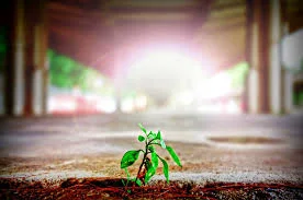 Processwork: 3 Levels of Consciousness