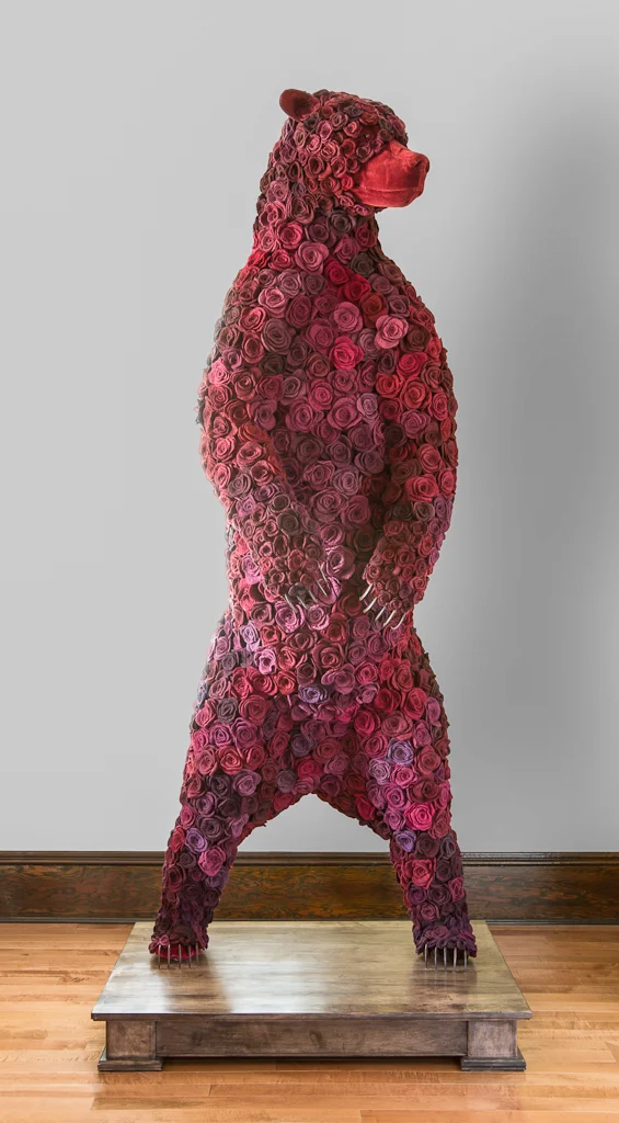 "Widow" (photo: Jeff Crawford)