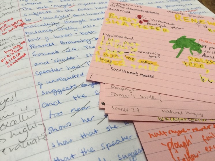 A practice essay and the flashcards I made after re reading the essay. This type of repetition helped me remember important points which I could then use in others essays and in the real exam if the right kind of question came up.