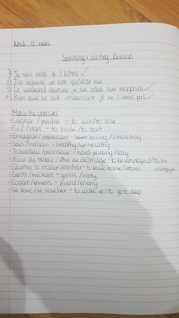 How To Get A 9 In GCSE French! The Exam Coach