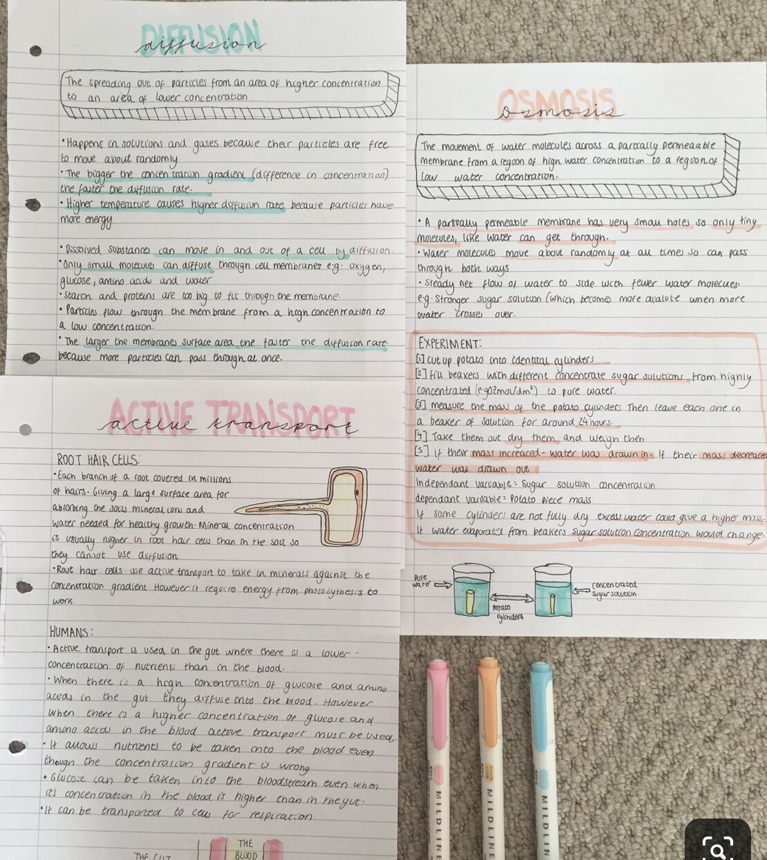 best way to revise biology
