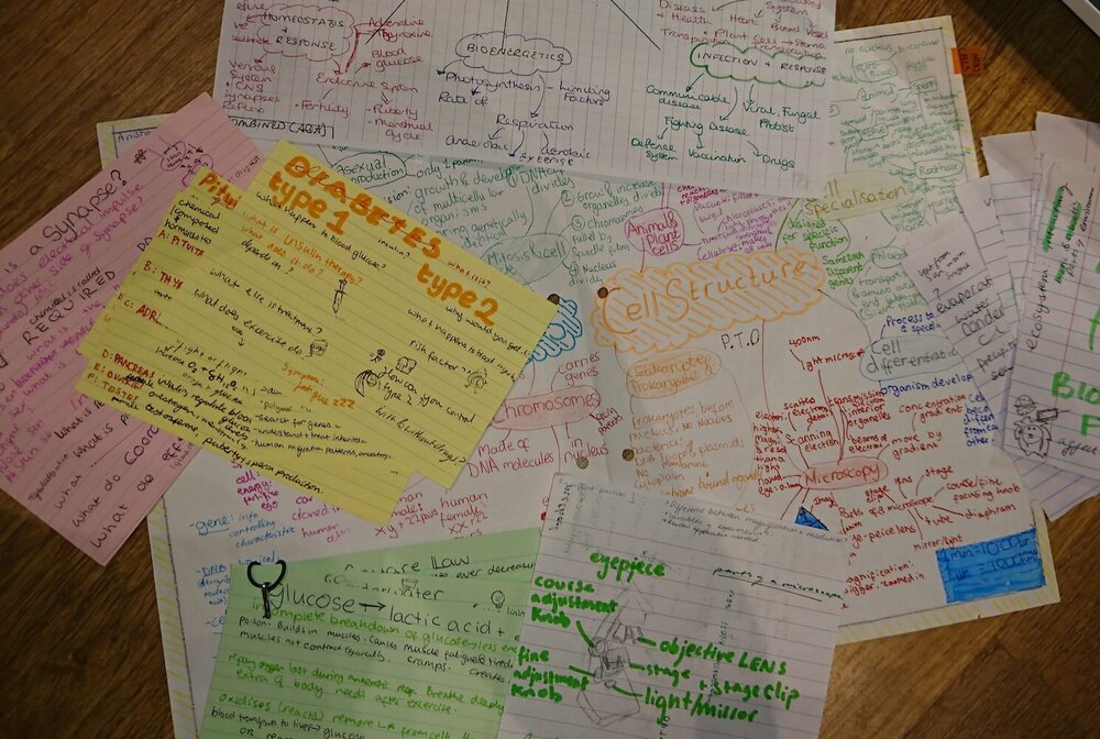 Gcse Combined Trilogy Science What I Did To Get Two 9s The Exam Coach