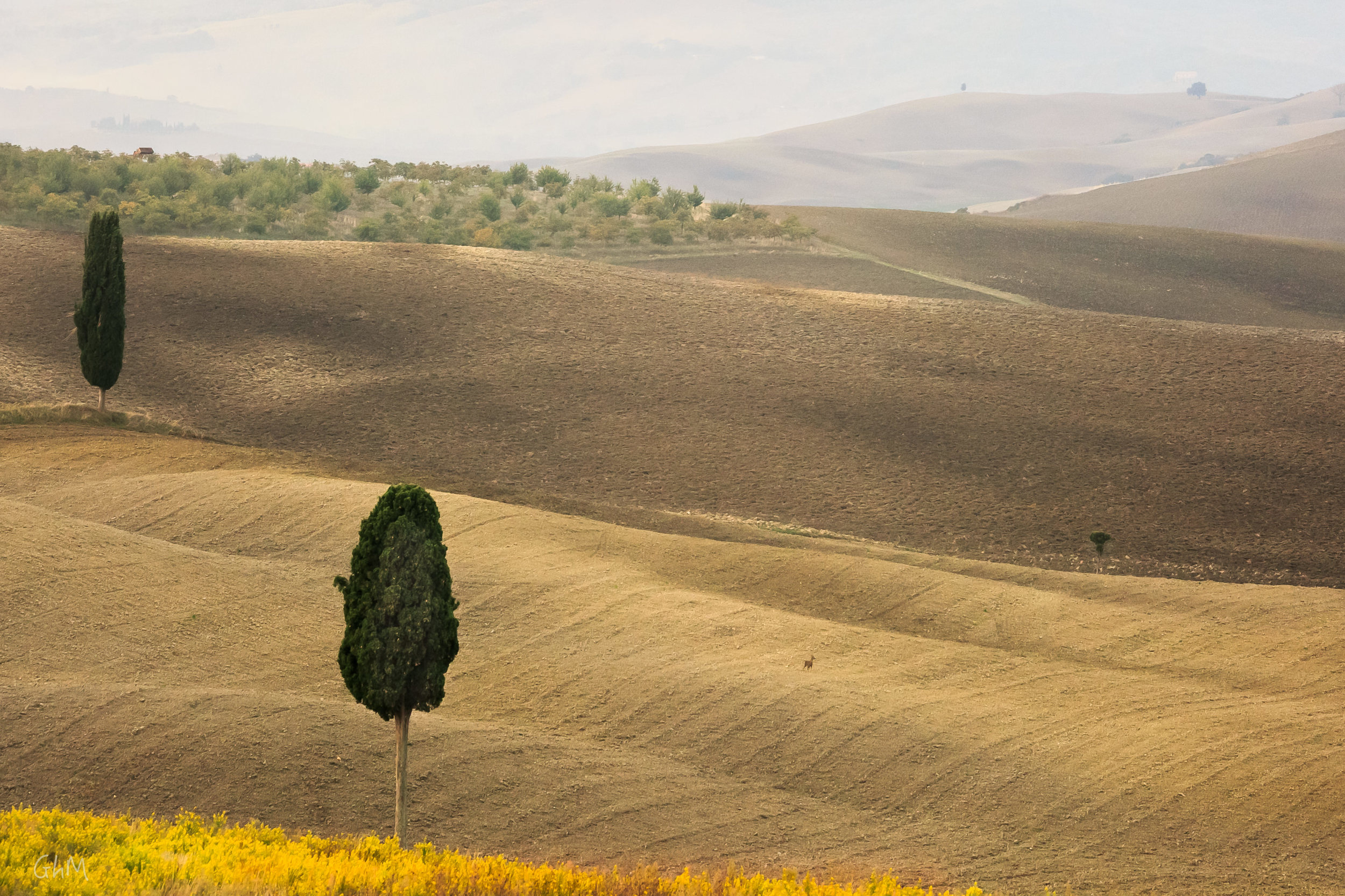 06102015-Toscane-132.jpg