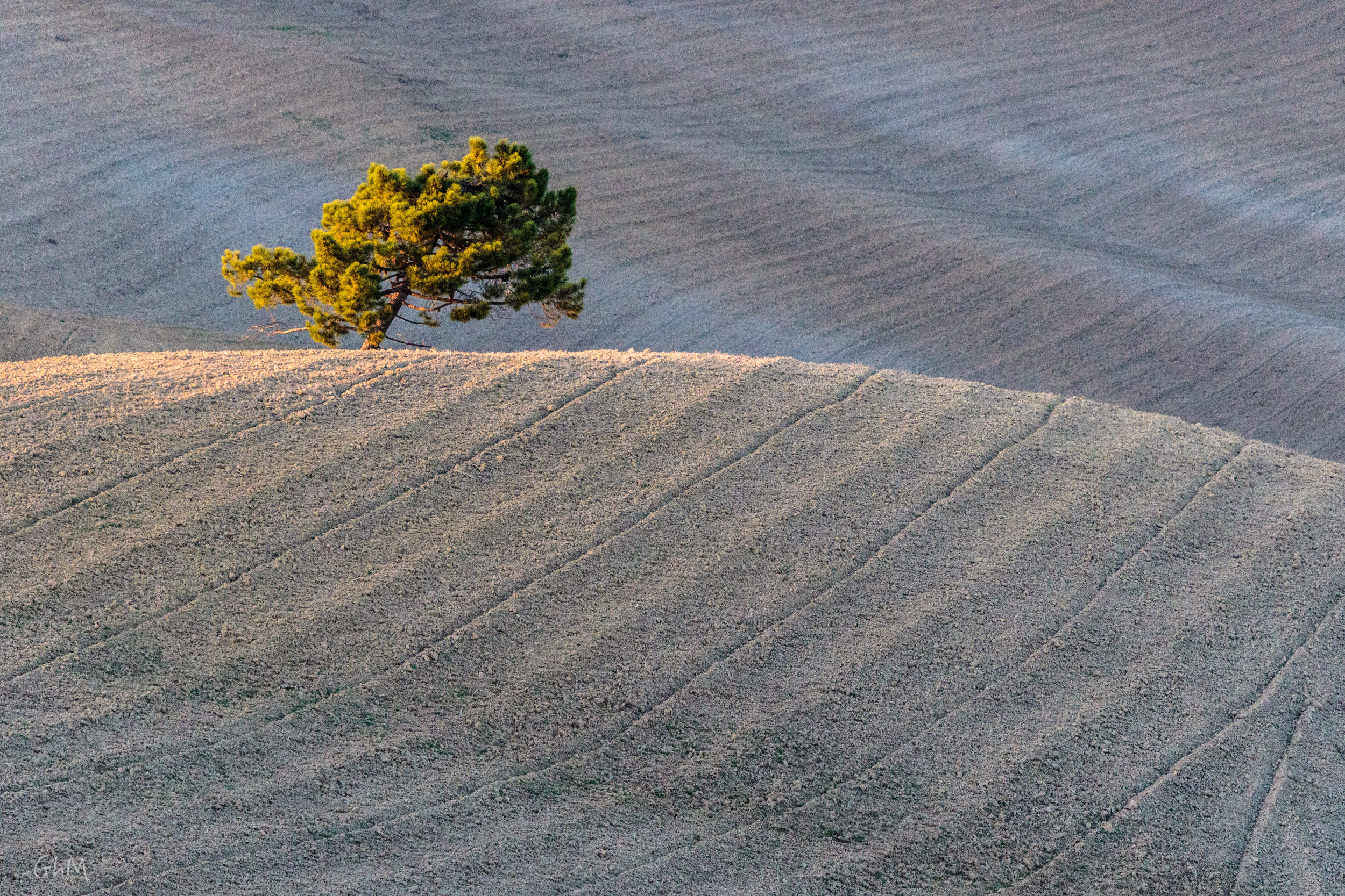 08102015-Toscane-1442.jpg