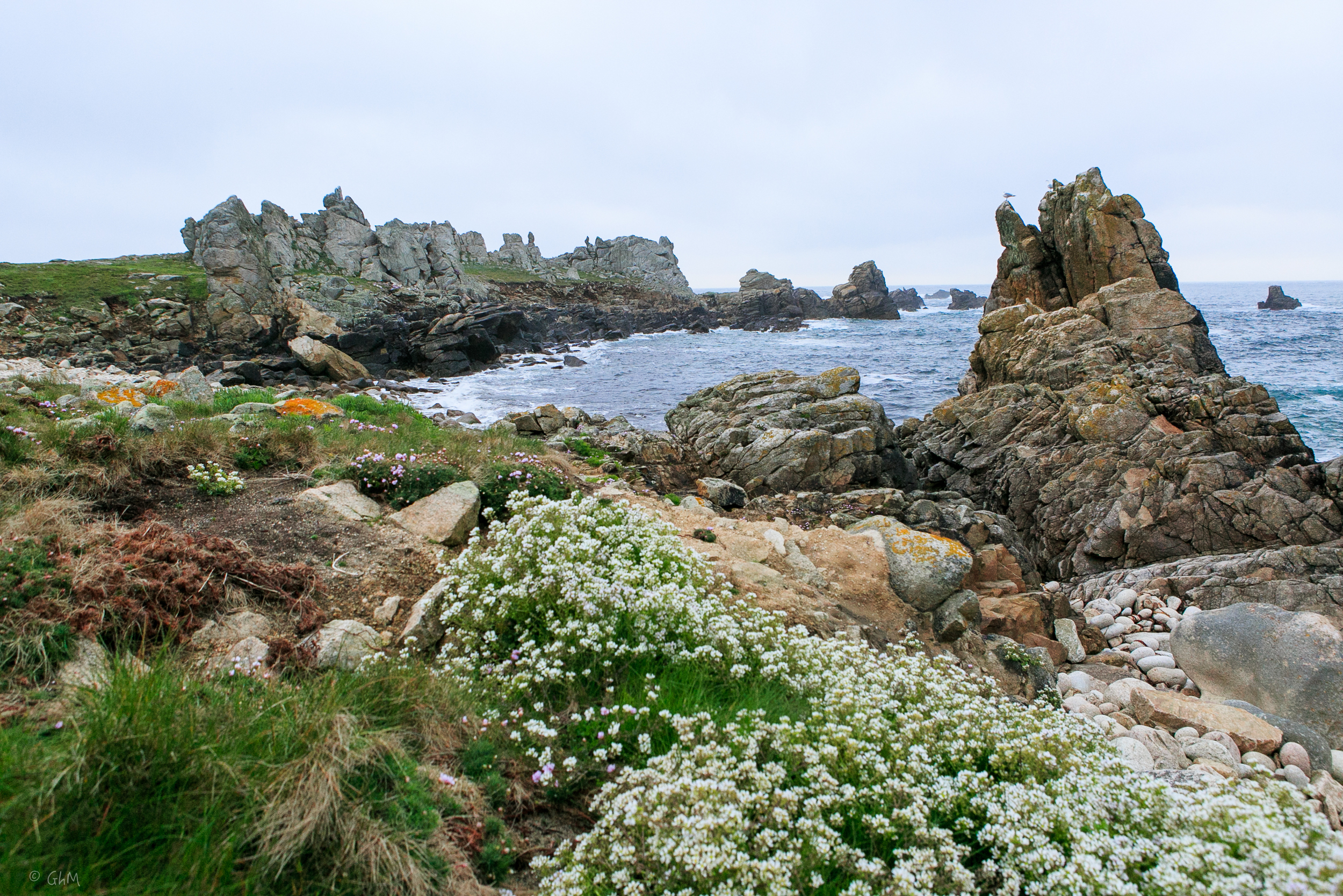 Ouessant -1030.jpg