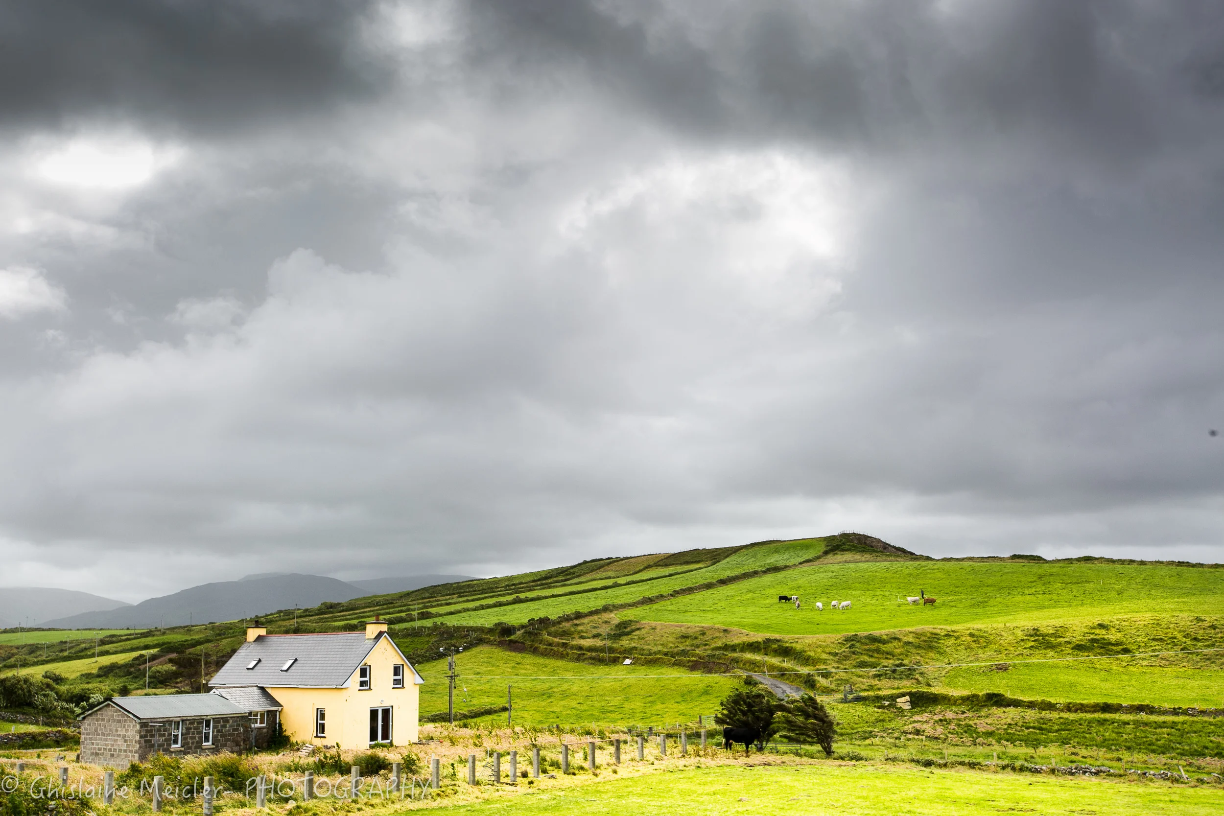 Irlande-228.jpg