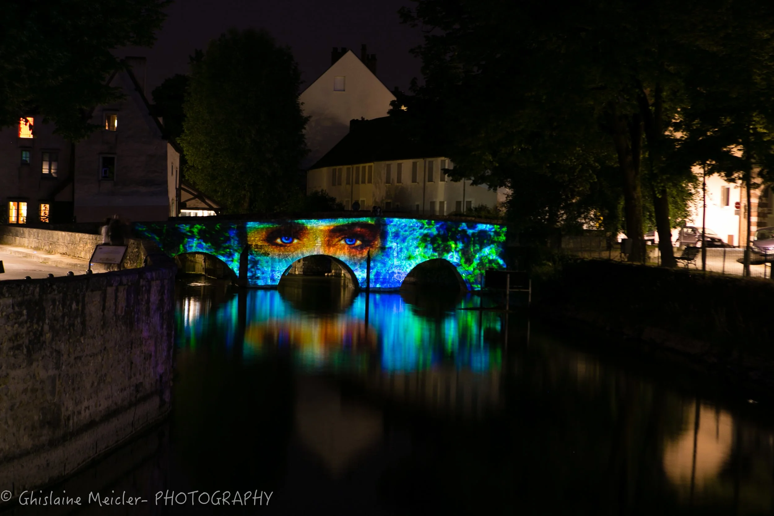 Chartres 2015-GHM_7025.jpg
