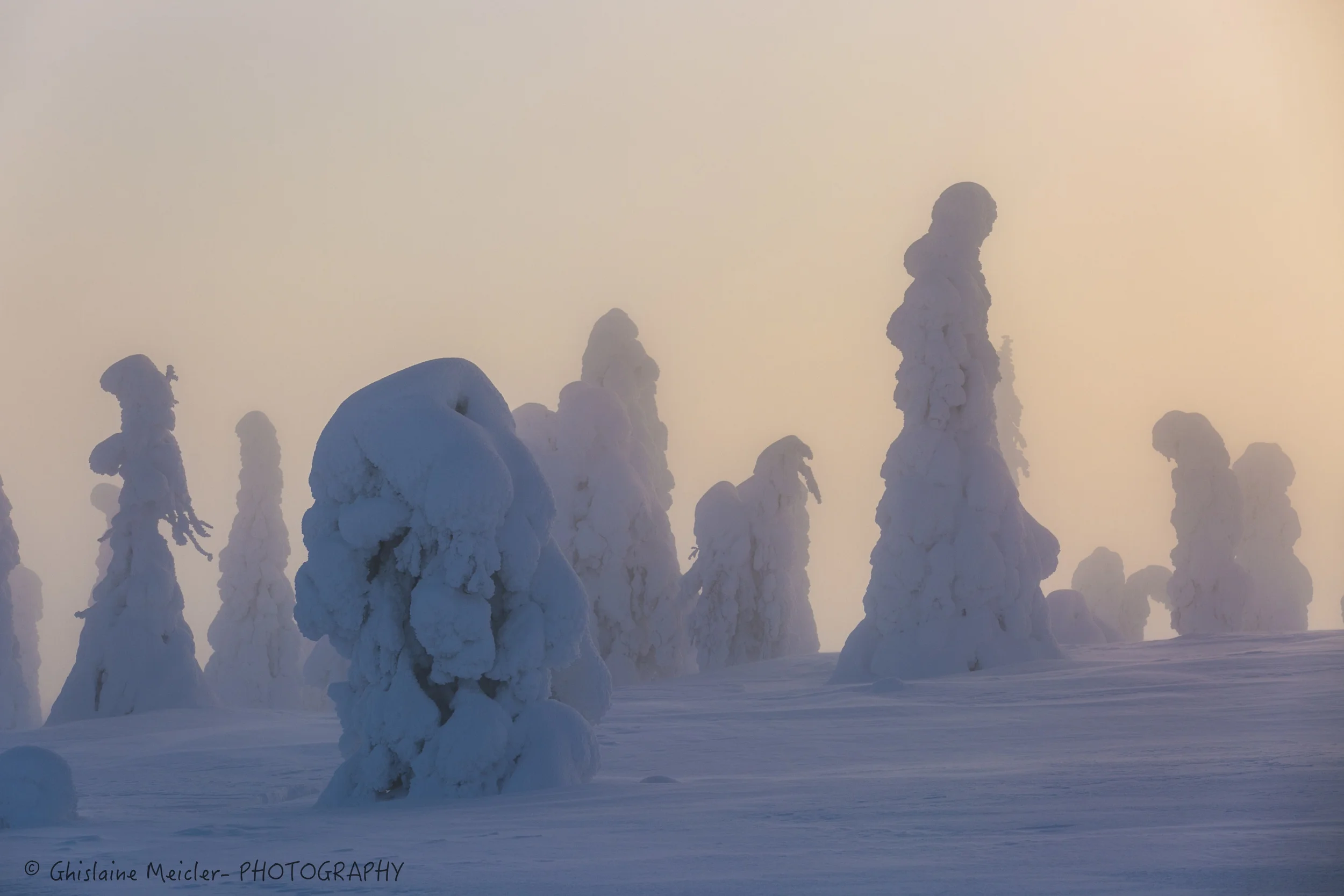 Finlande-686.jpg